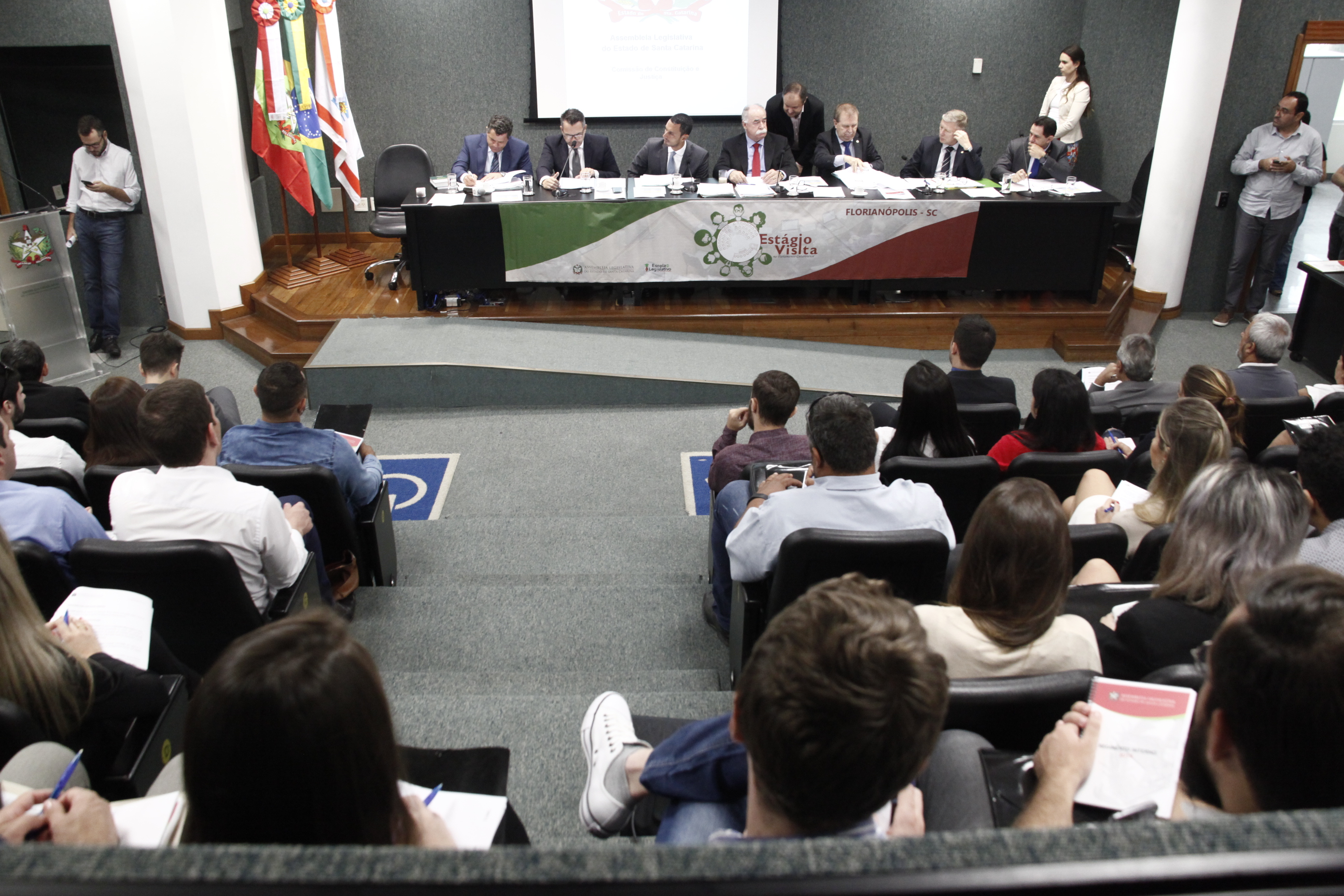 Comissão de Constituição e Justiça
