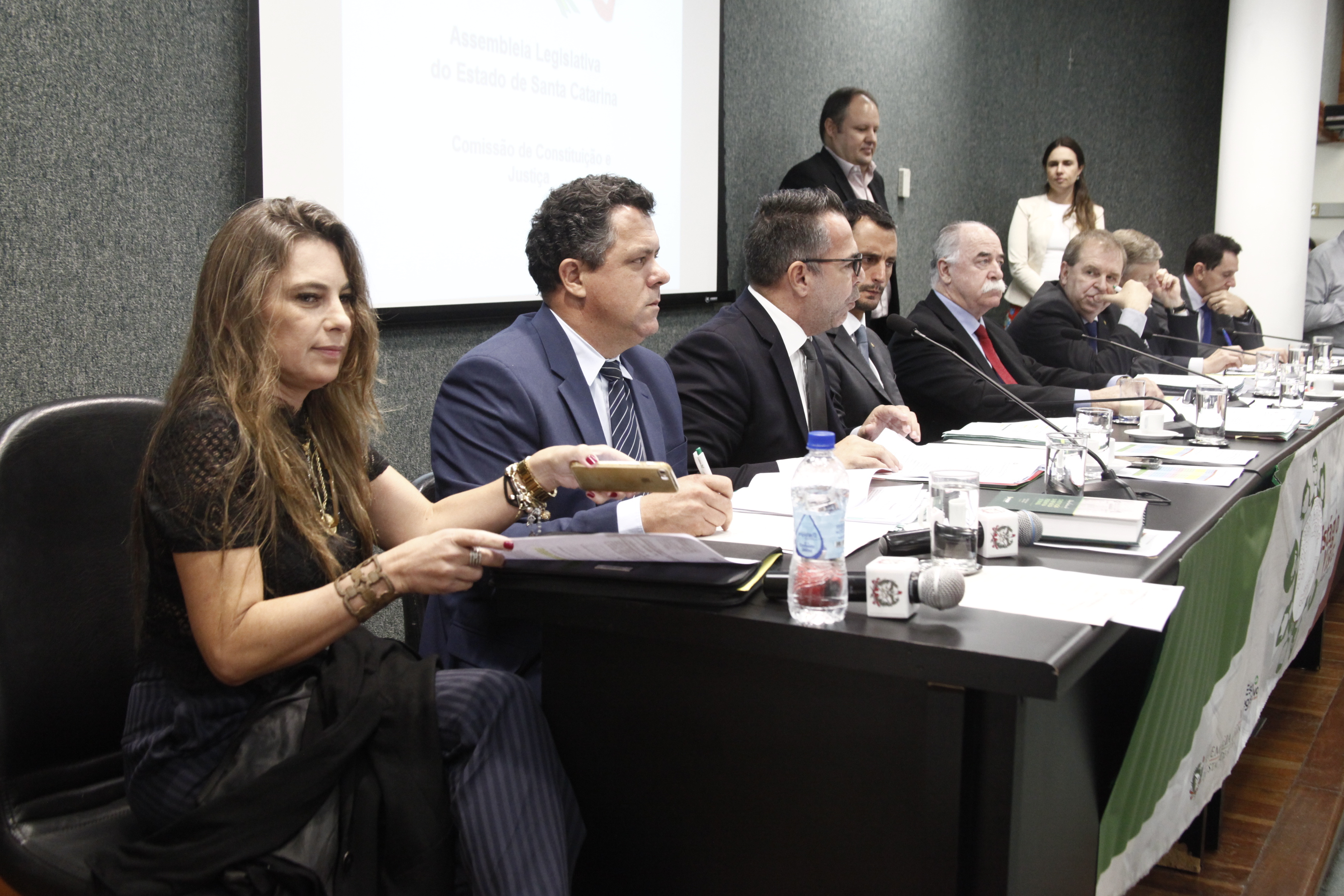 Comissão de Constituição e Justiça