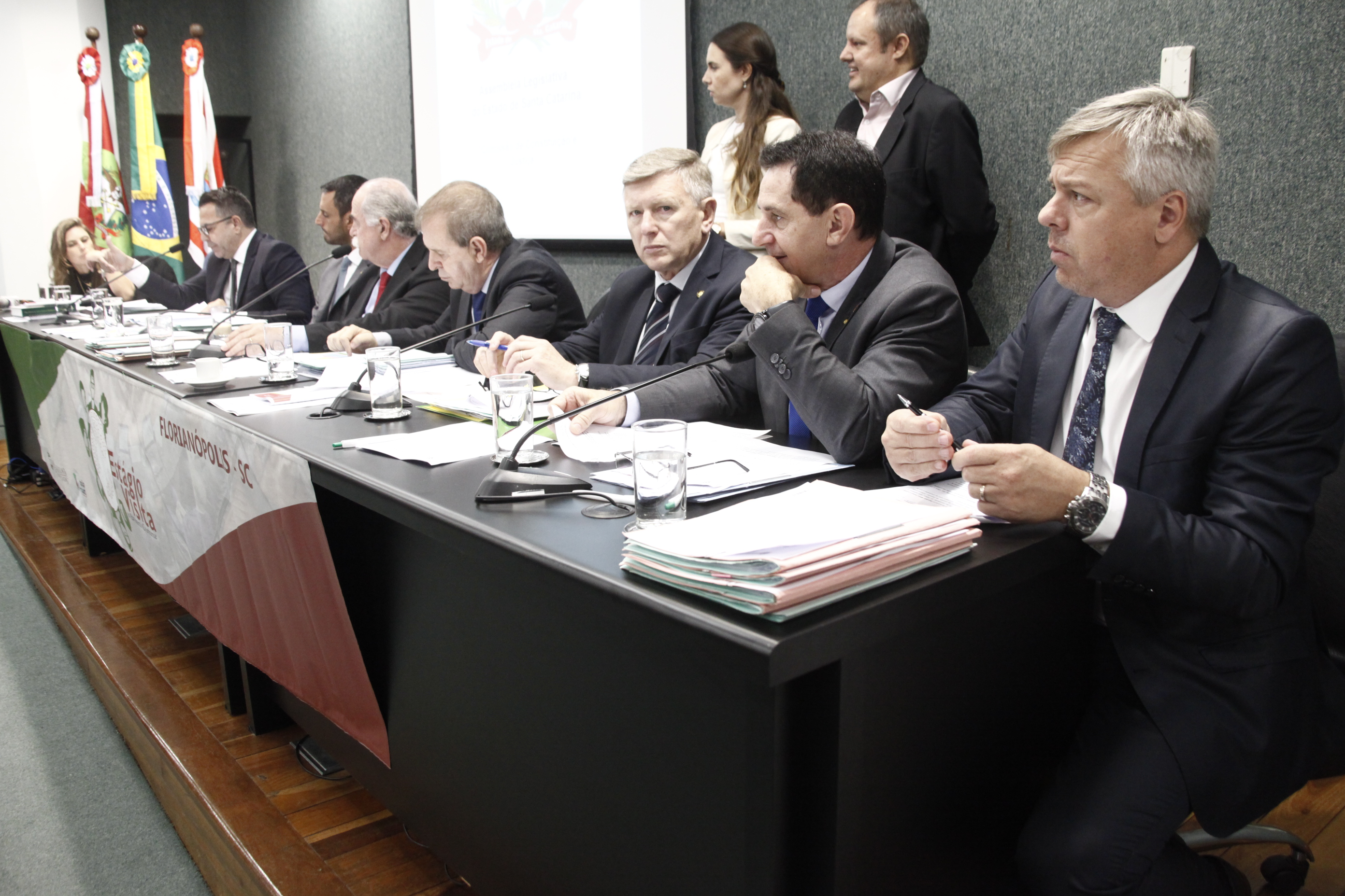 Comissão de Constituição e Justiça