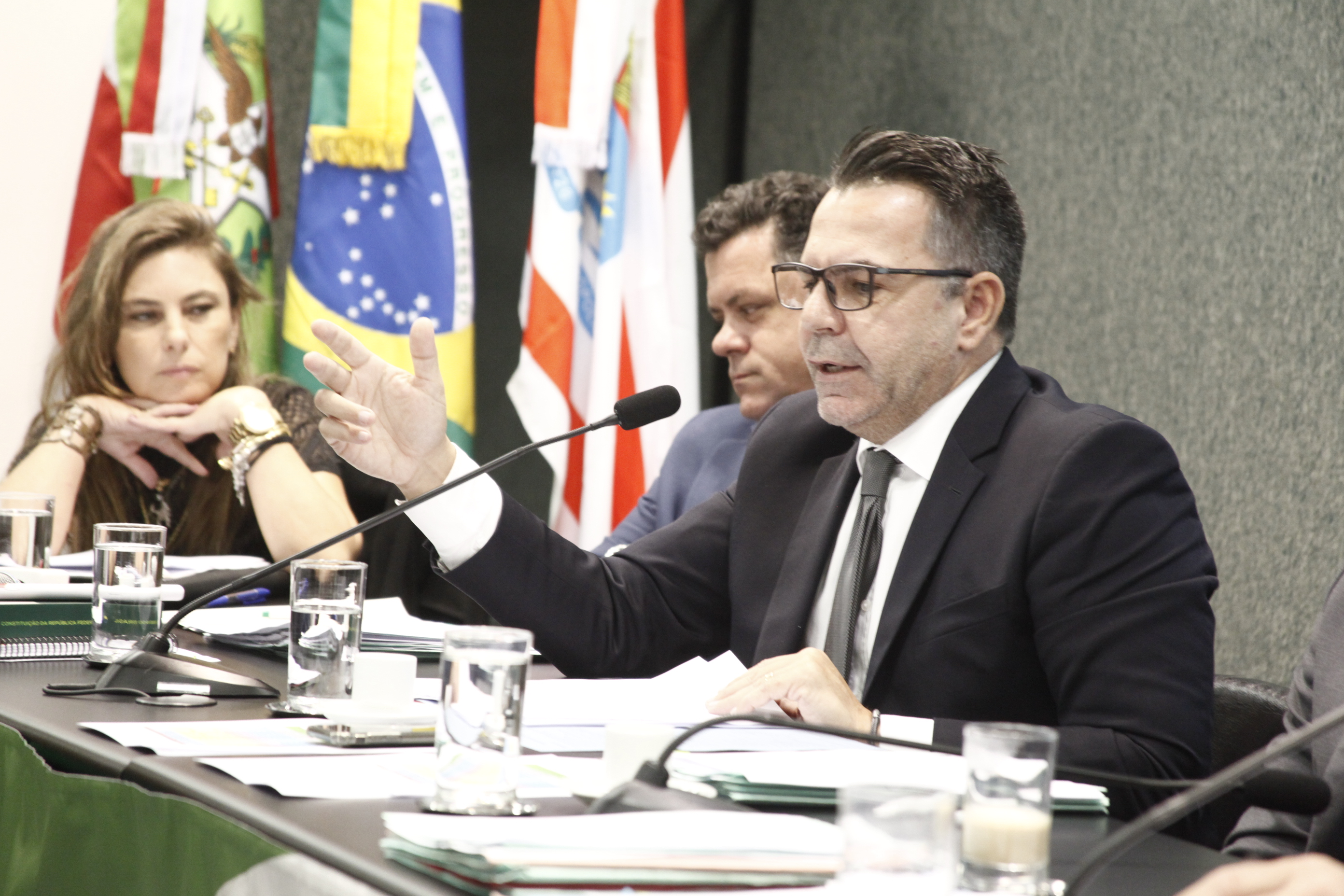 Comissão de Constituição e Justiça