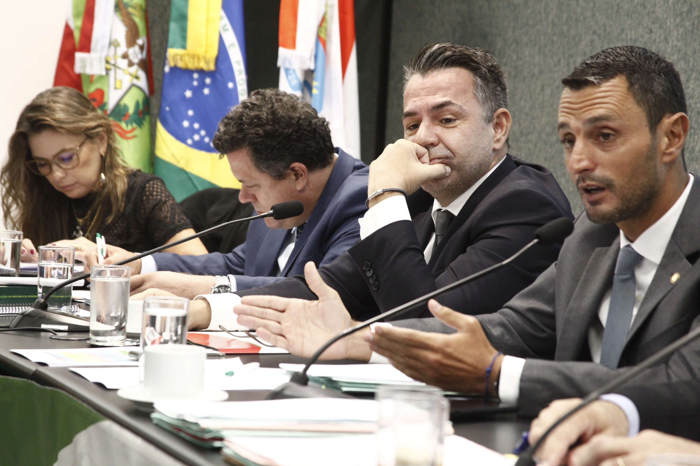 Comissão de Constituição e Justiça