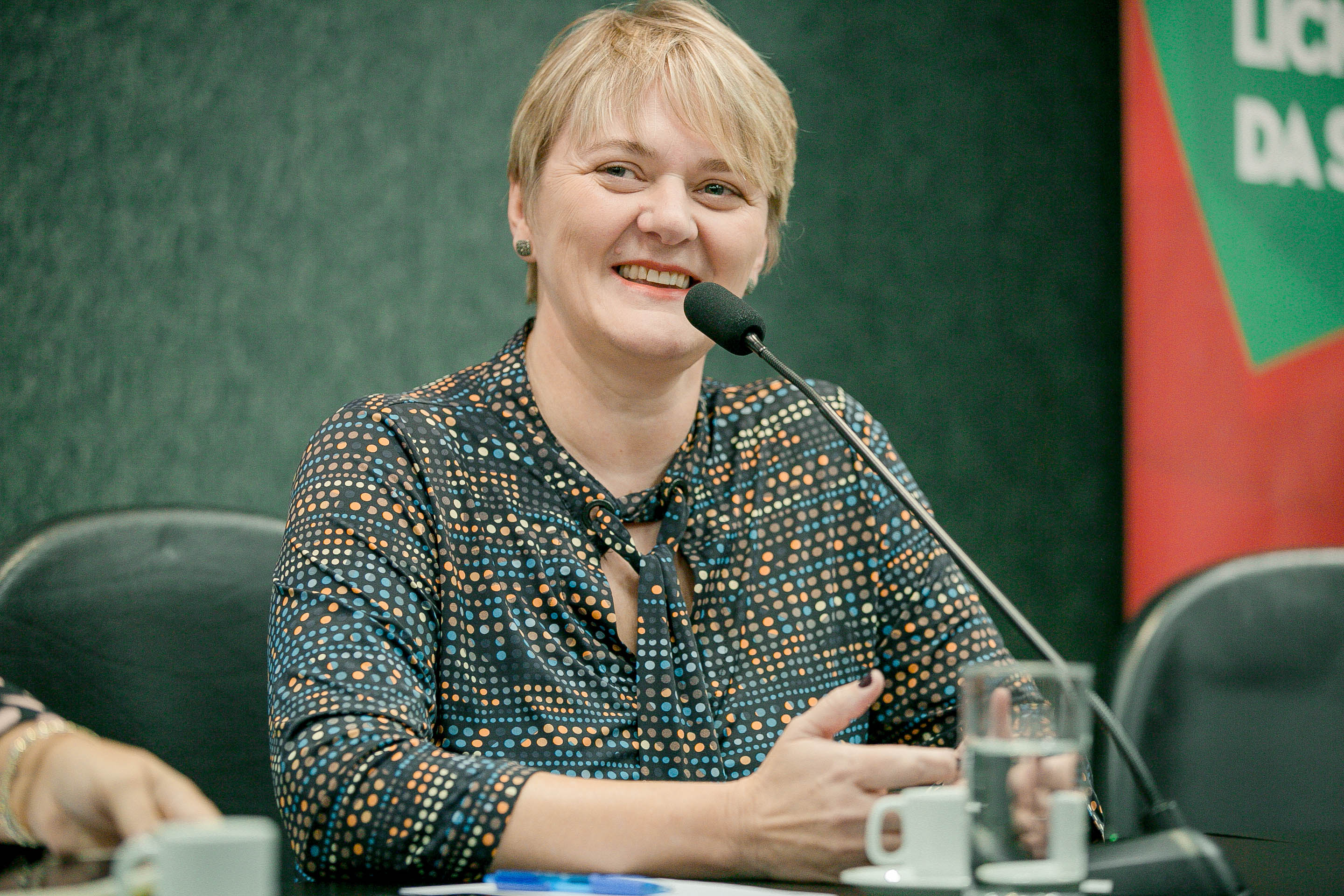 Deputada Luciane Carminatti (PT)