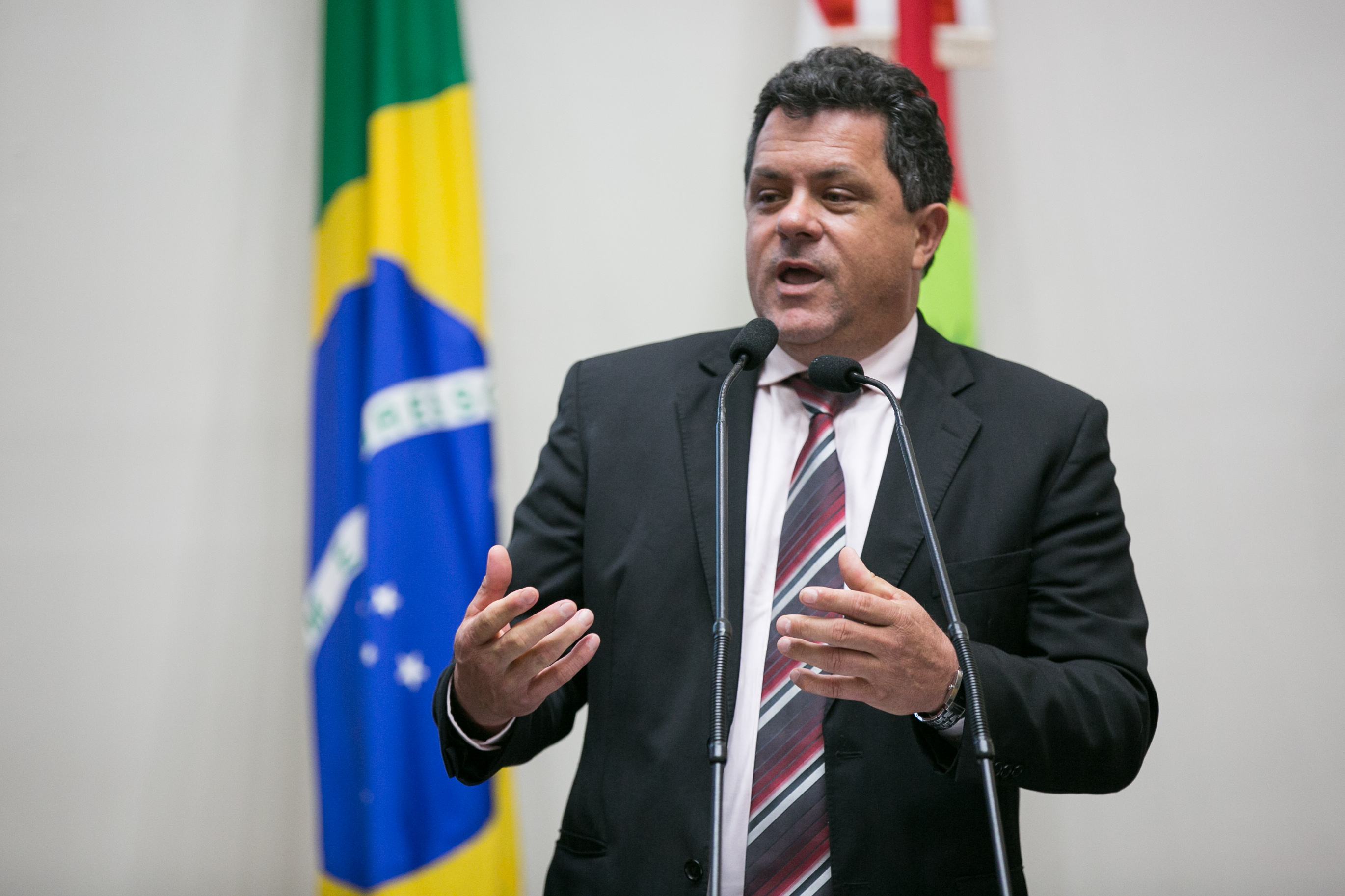 Deputado Ivan Naatz (PV)