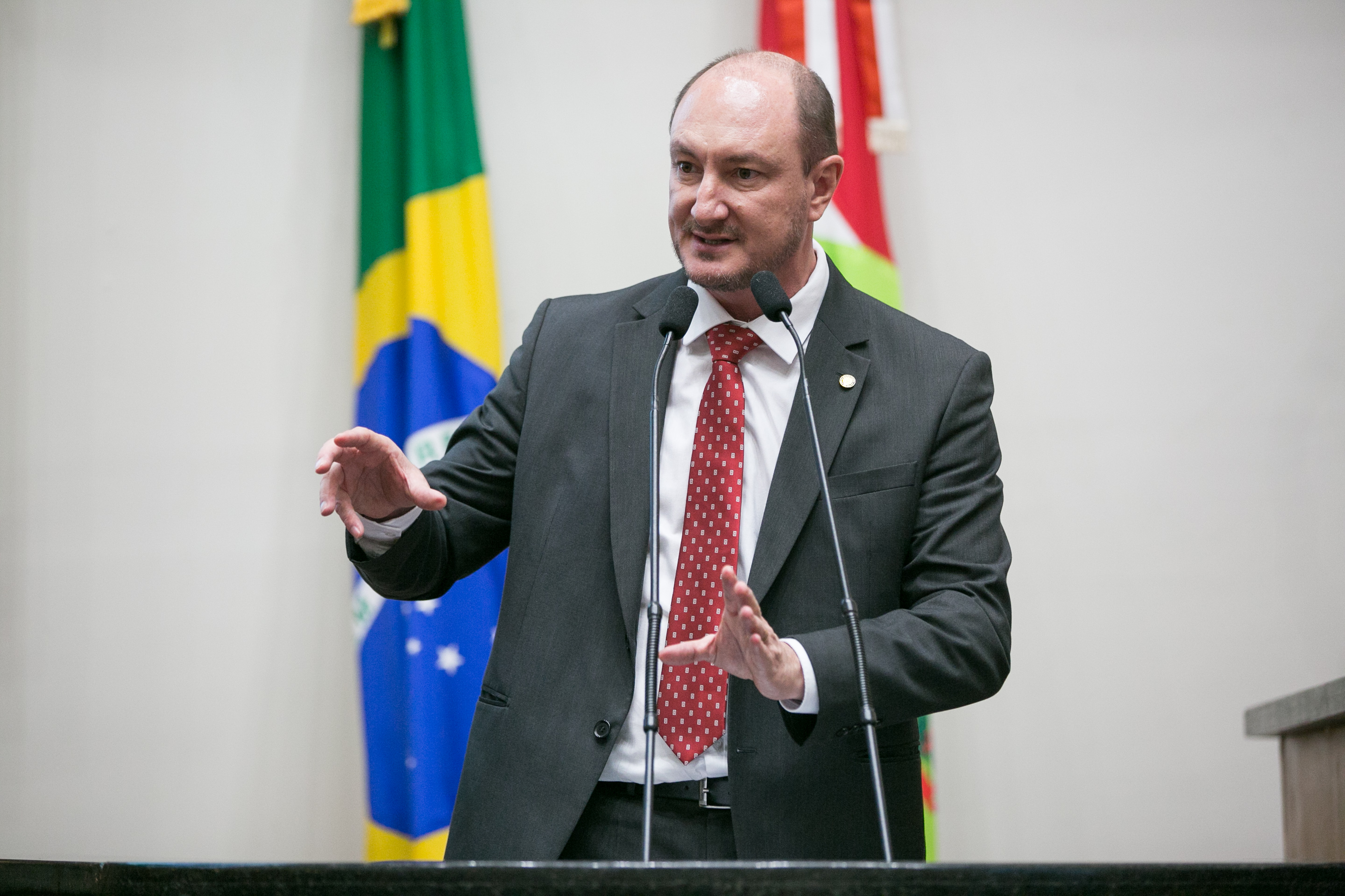 Deputado Mauro de Nadal (MDB)