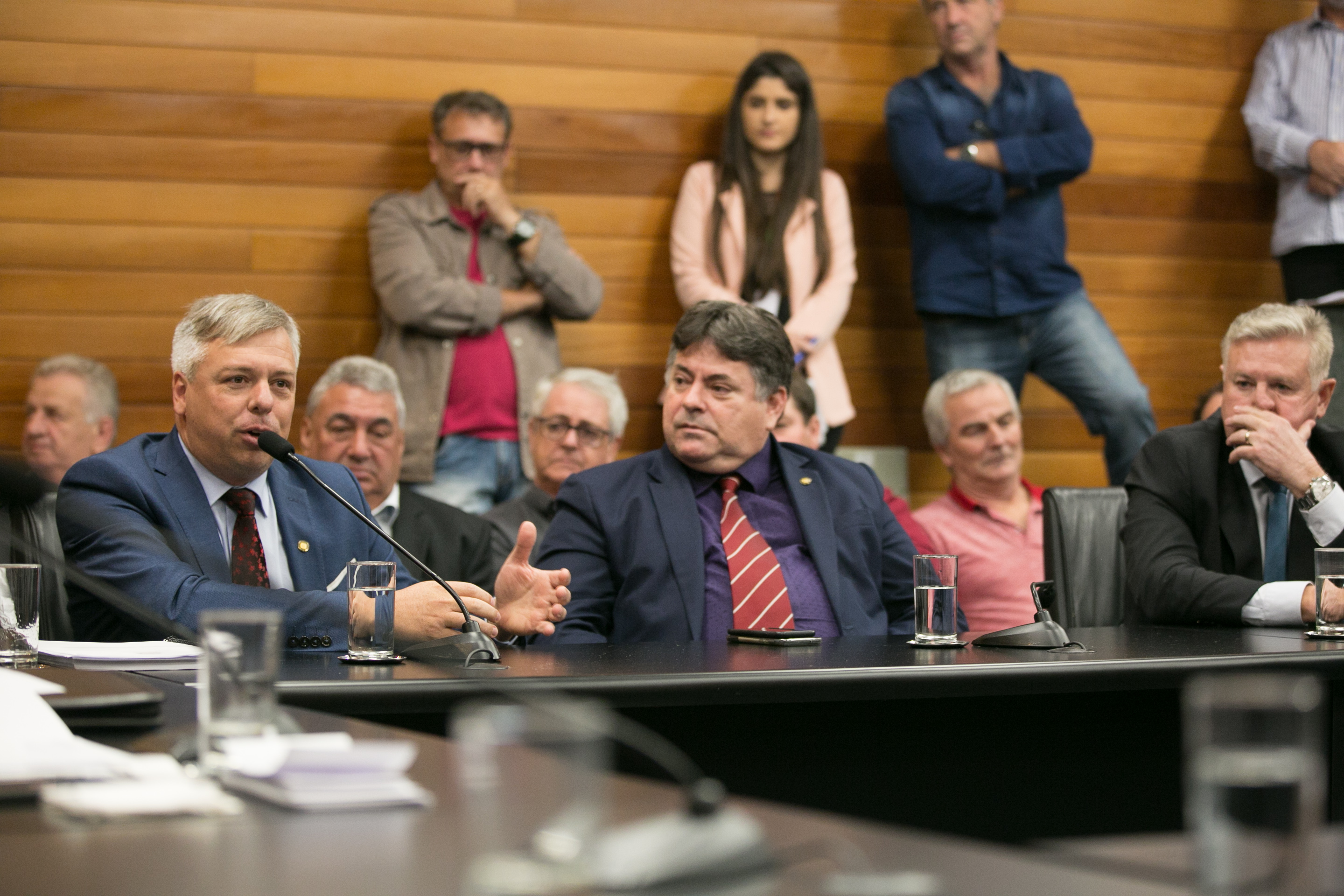Frente Parlamentar da Suinocultura