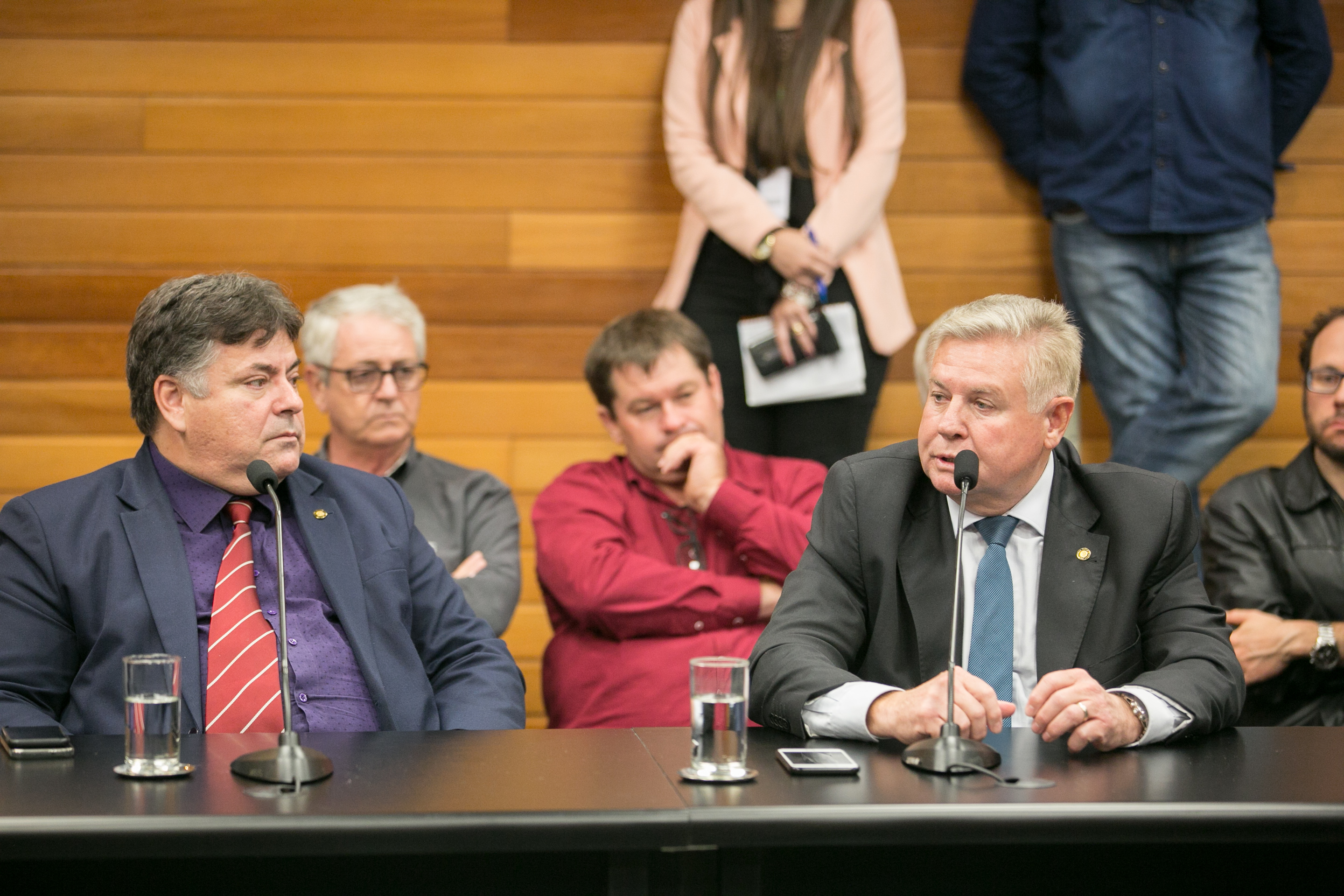 Frente Parlamentar da Suinocultura