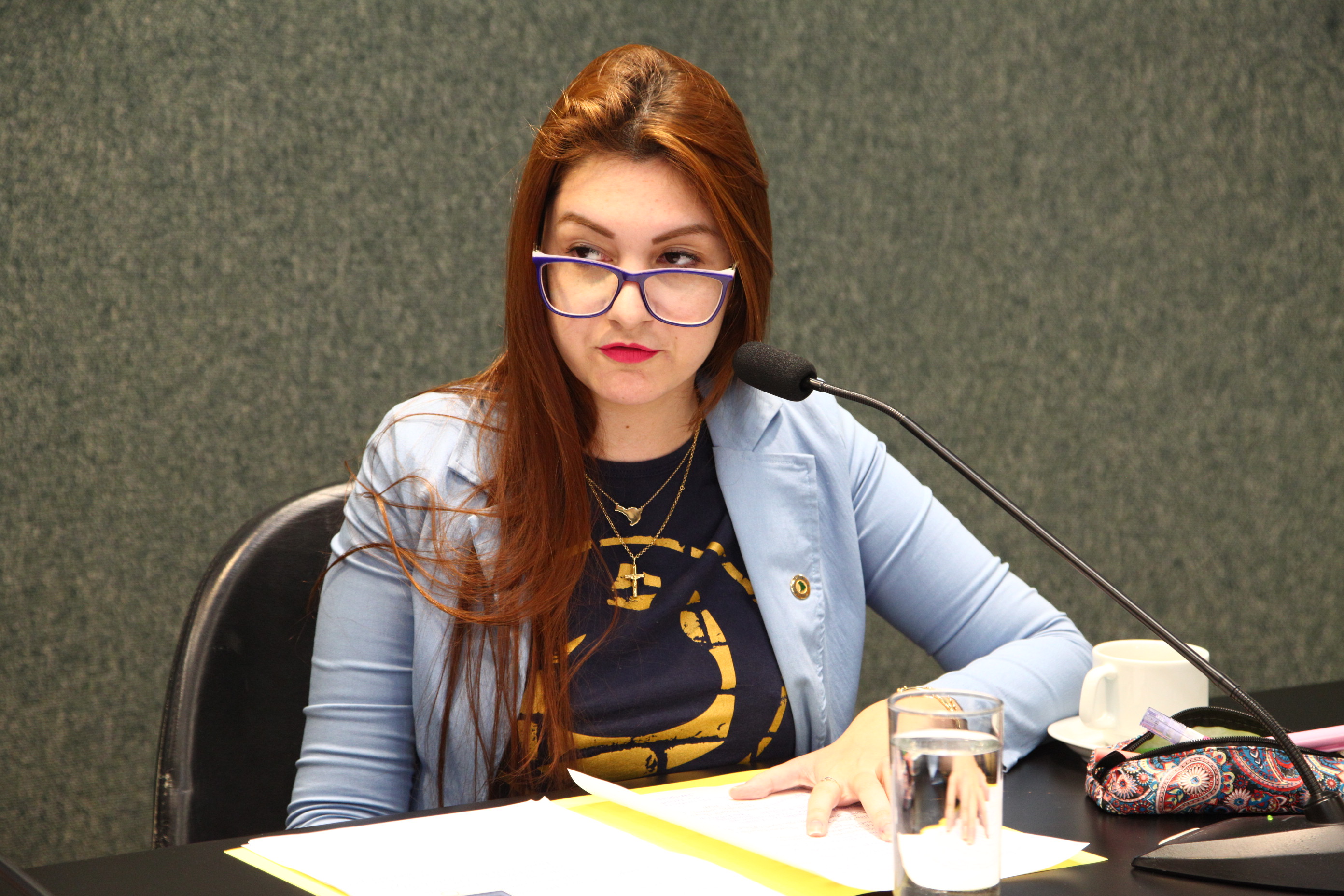 Comissão de Educação - Deputada Ana Caroline Campagnolo (PSL)