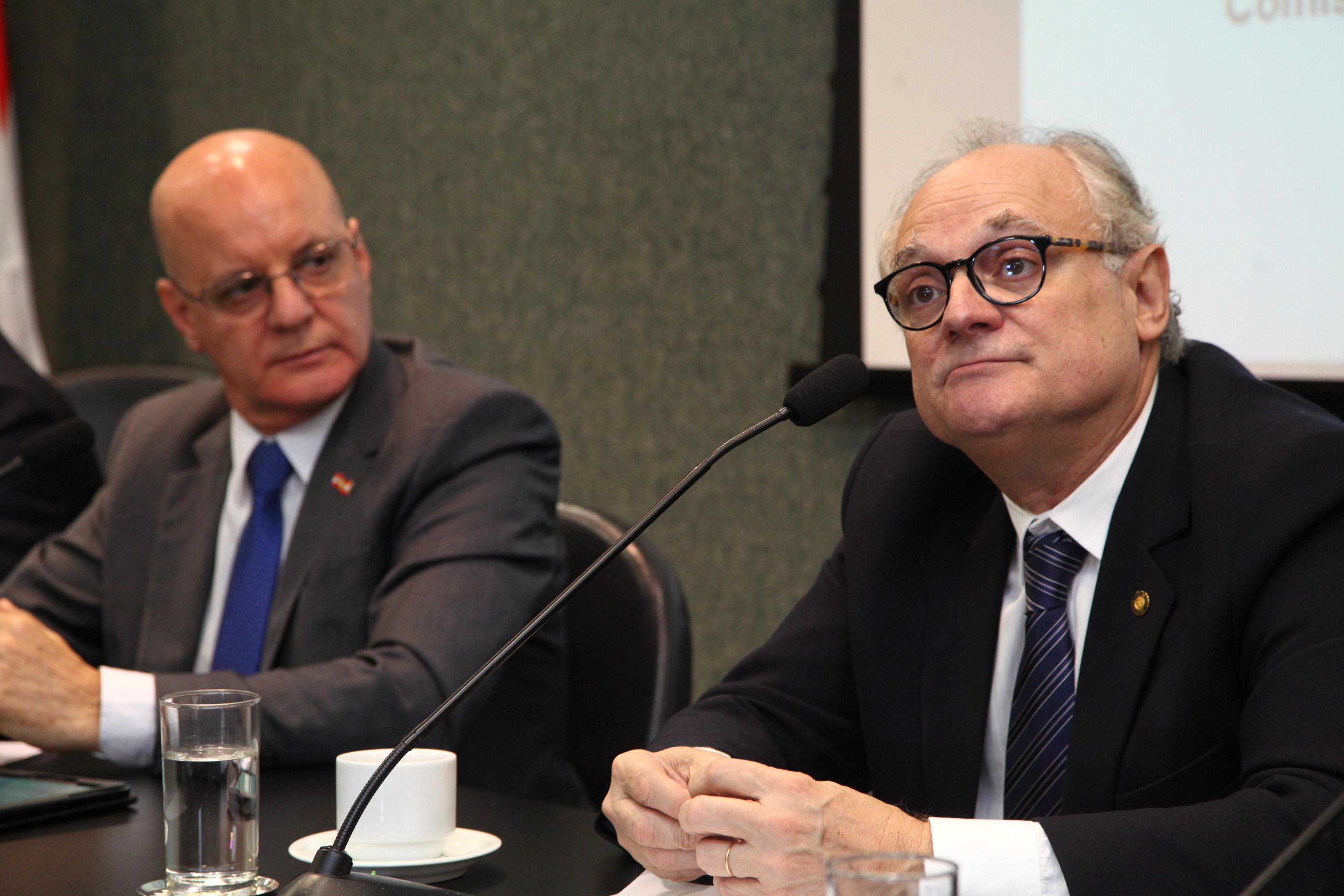 Comissão de Educação - Deputado Vicente Caropreso (PSDB)