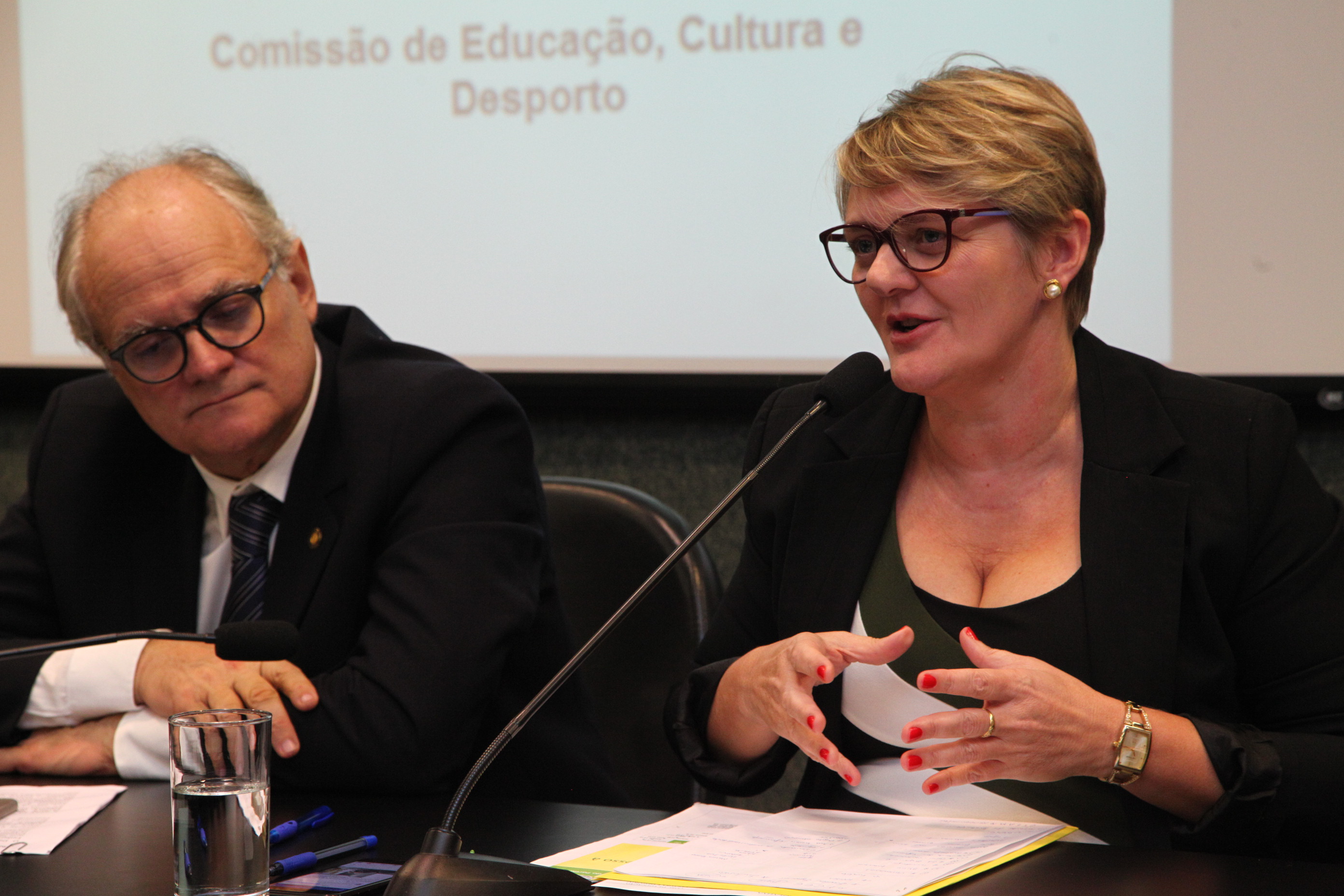 Comissão de Educação - Deputada Luciane Carminatti (PT)