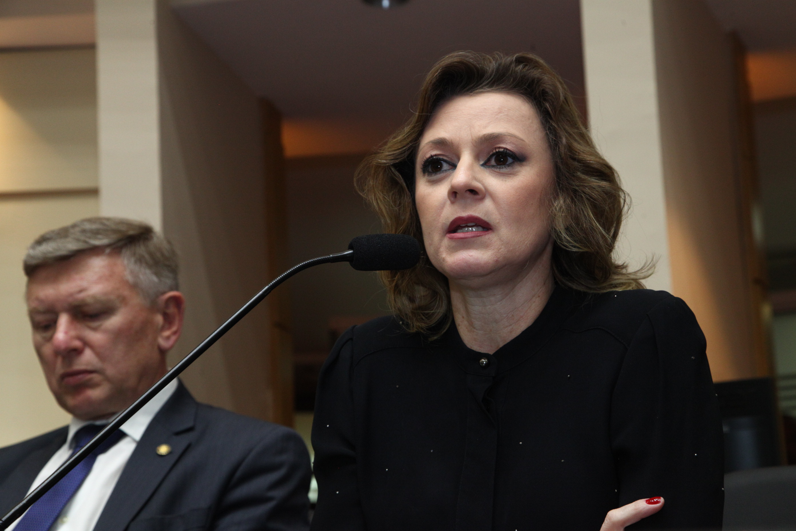 Audiência Pública sobre a  Reforma Administrativa - Maria Elisa da Silveira de Caro, secretária de Estado do Desenvolvimento Social