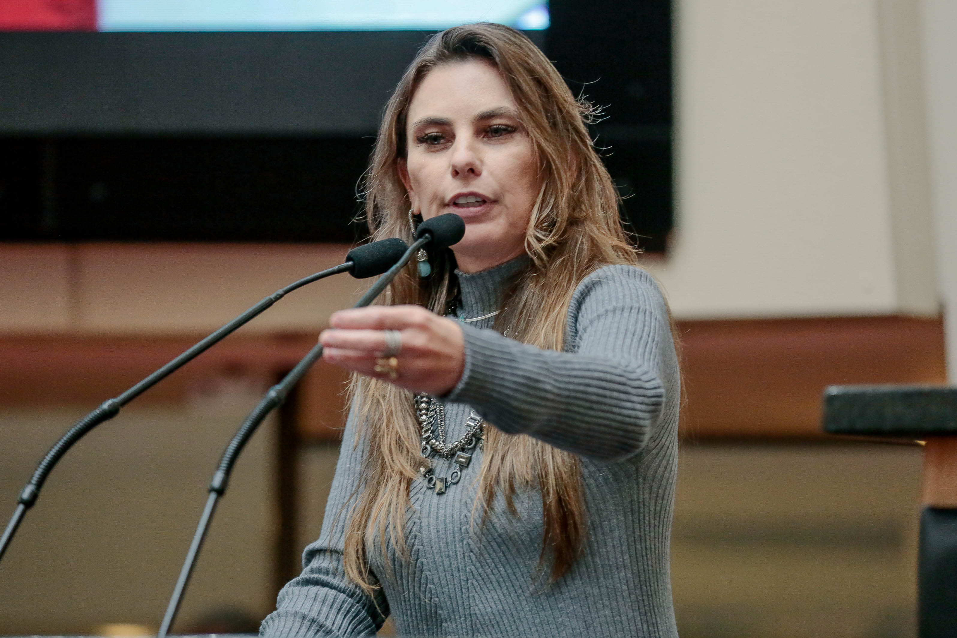 Deputada Paulinha (PDT)