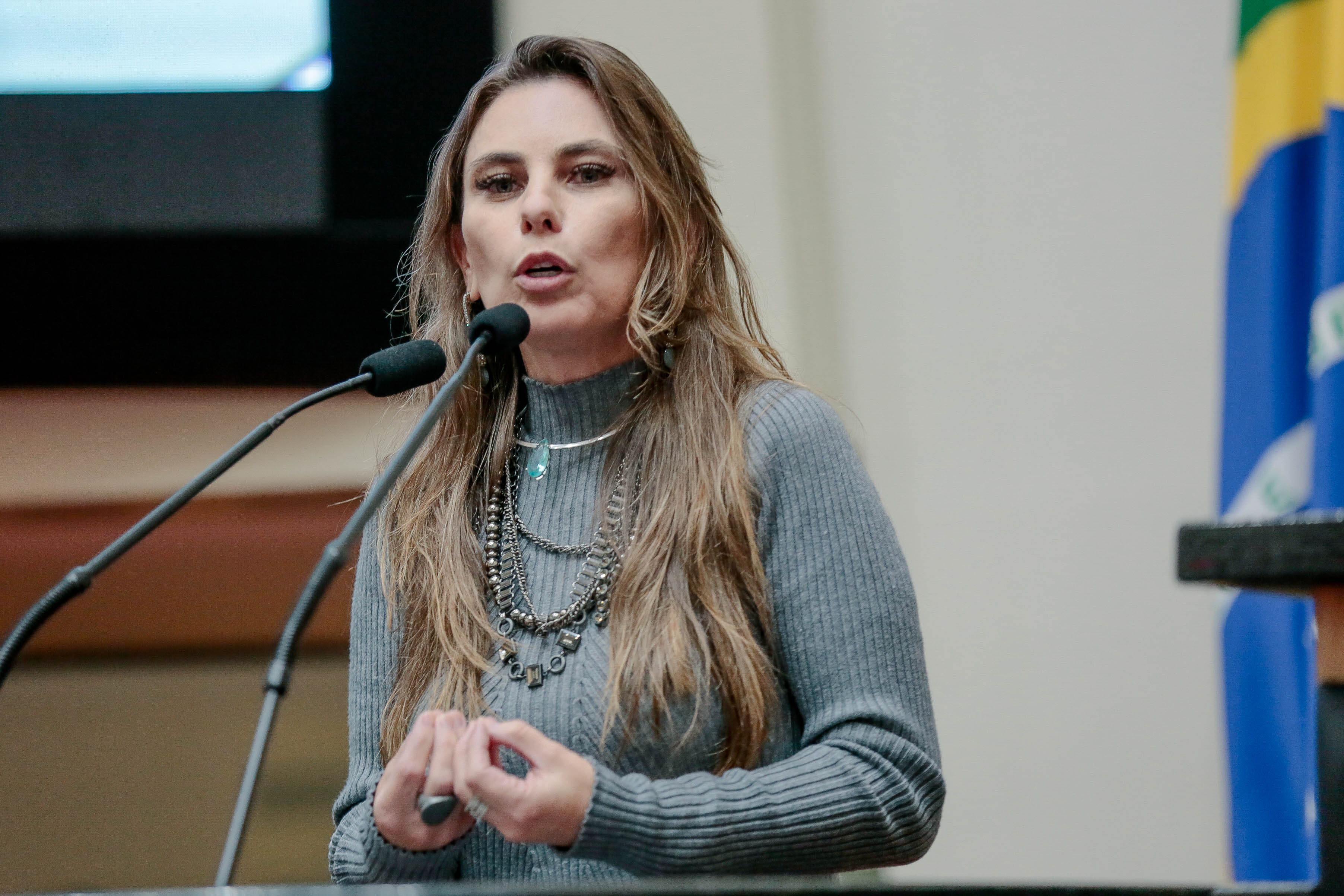 Deputada Paulinha (PDT)