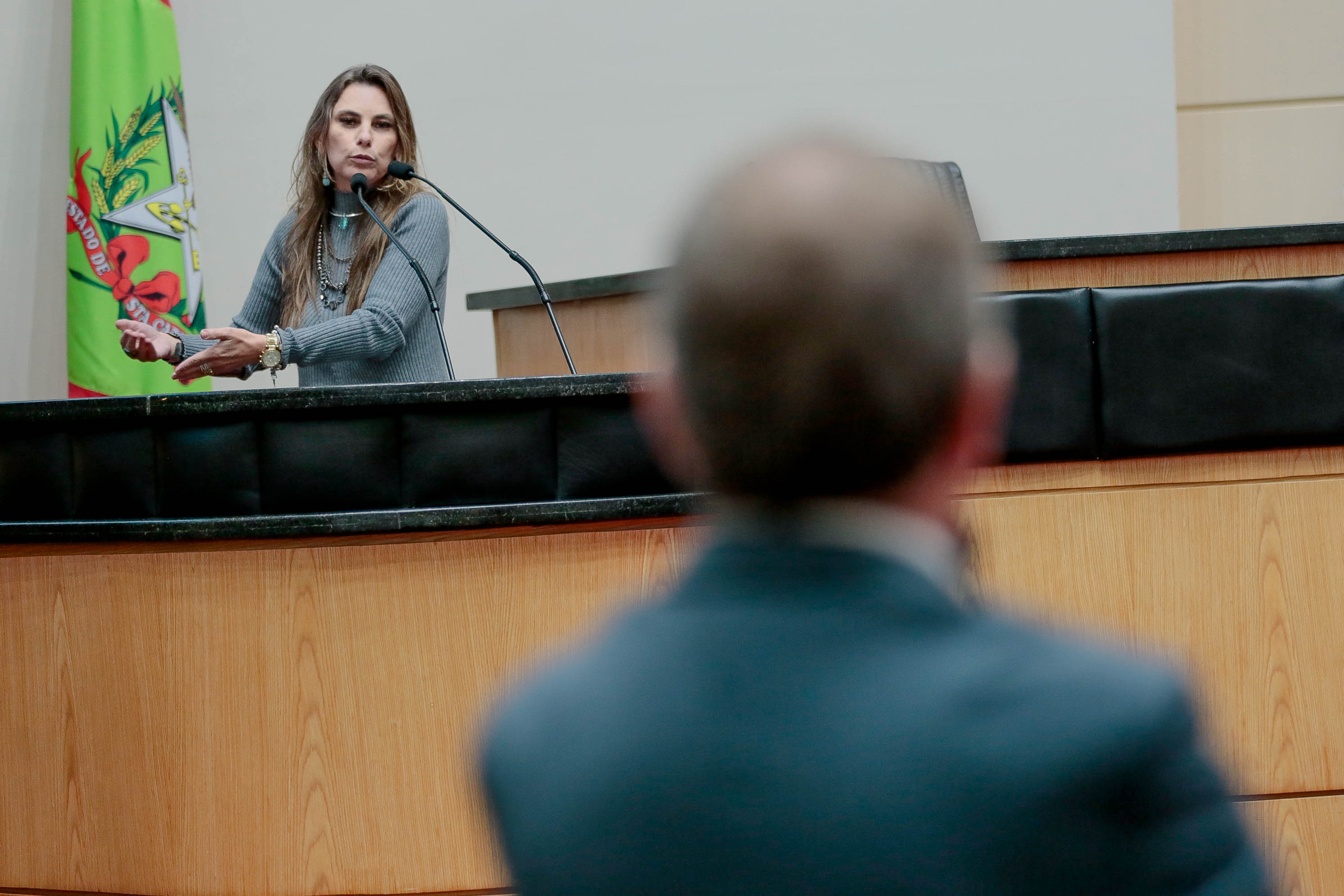 Deputada Paulinha (PDT)