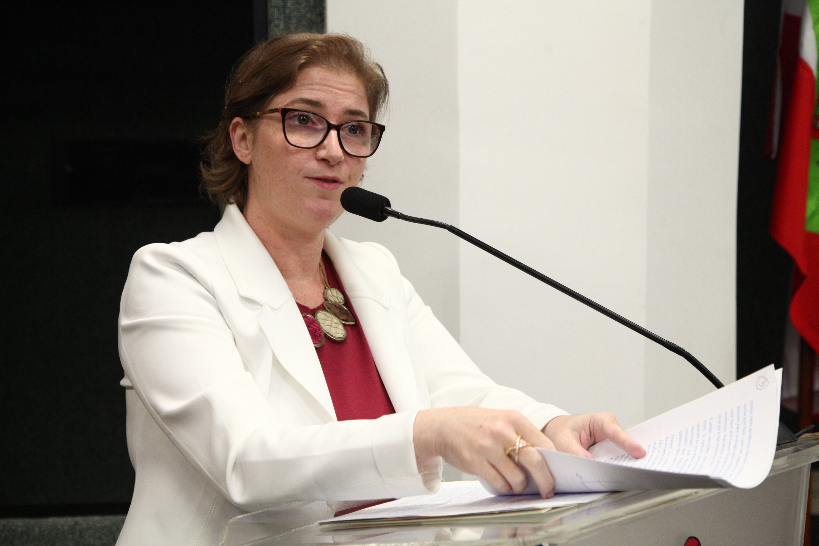Audiência Pública da Comissão de Defesa dos Direitos do Idoso -  Ariane de Campos Angioletti, vice presidente do Conselho do Idoso