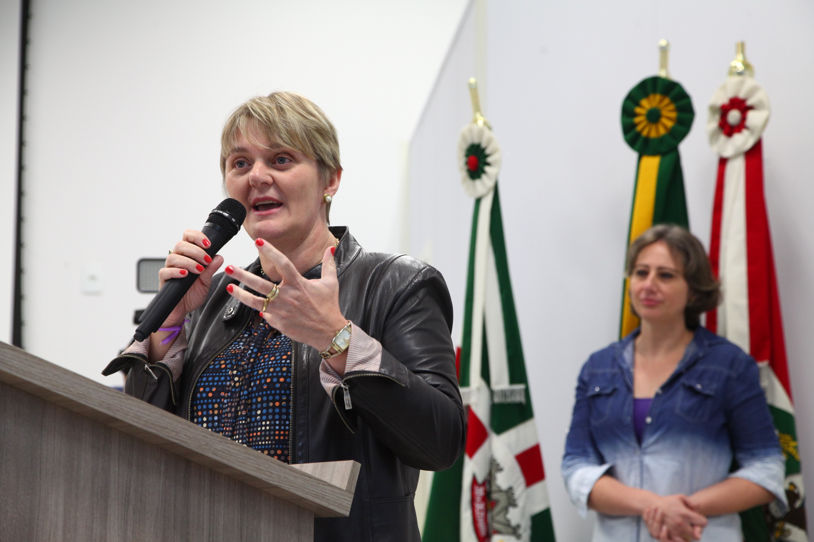 Seminário Estadual sobre Gestão Cultural - Deputada Luciane Carminatti (PT)
