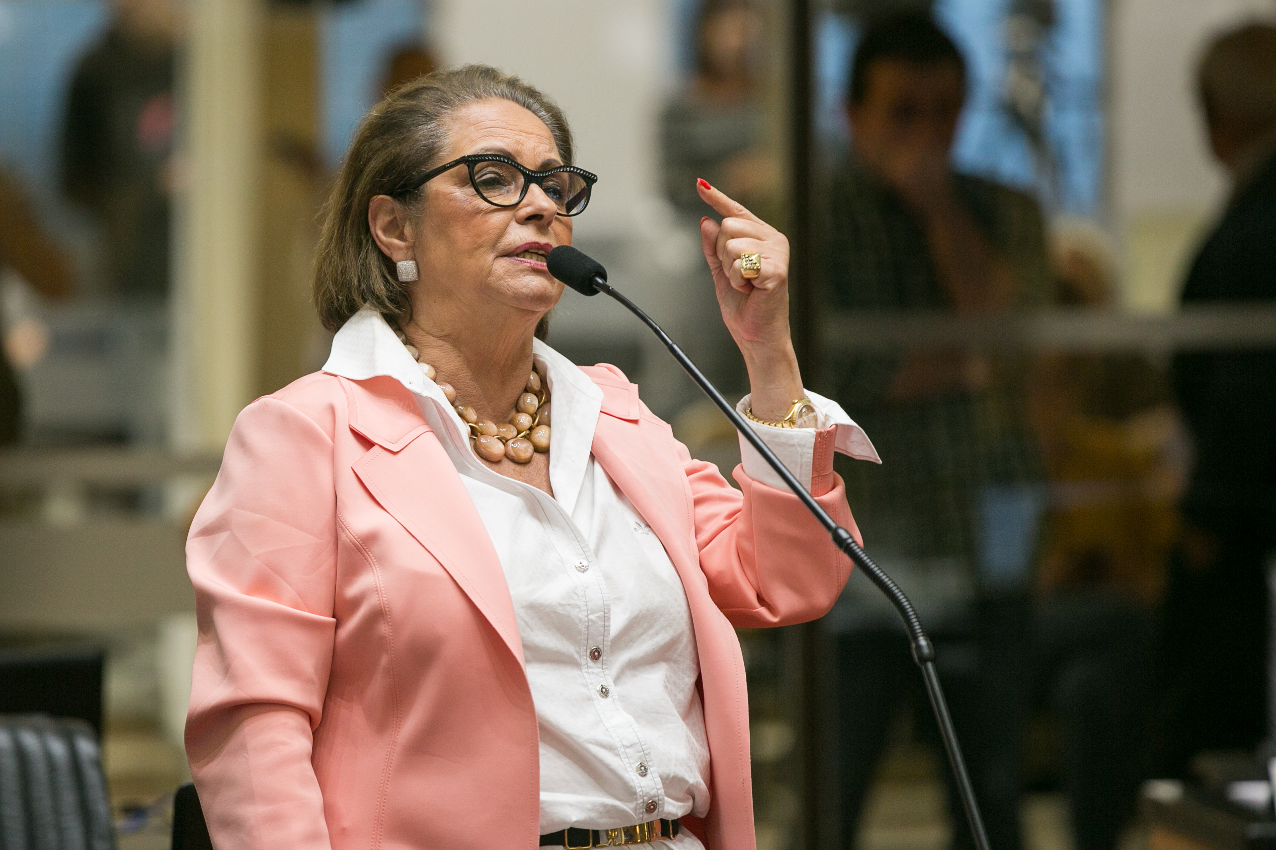 Deputada Ada De Luca (MDB)