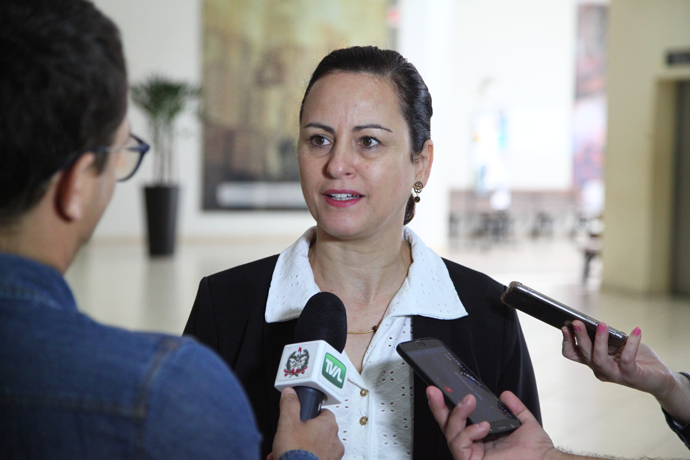Seminário Estadual sobre Gestão Cultural em Chapecó - Raselaine Vinhas, palestrante