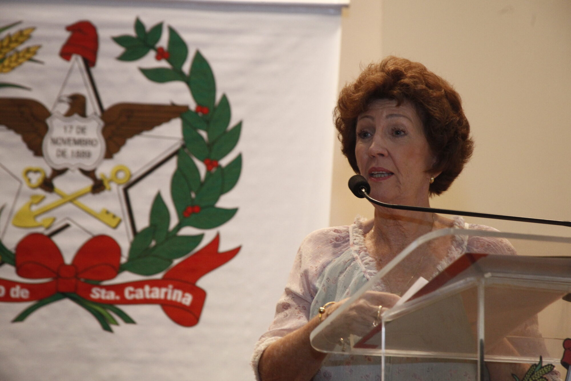 Lorena Starke Schmidt, presidente da Associação Estadual de Apaes