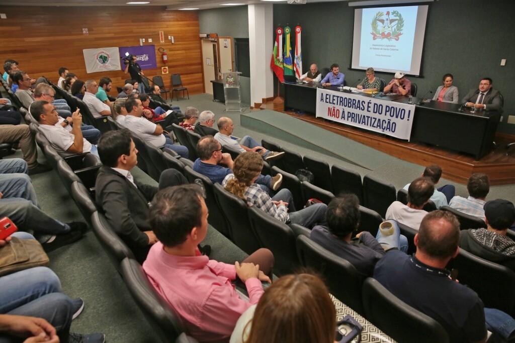 Deputada Luciane Carminatti coordena a Frente Parlamentar em Defesa da Eletrosul
