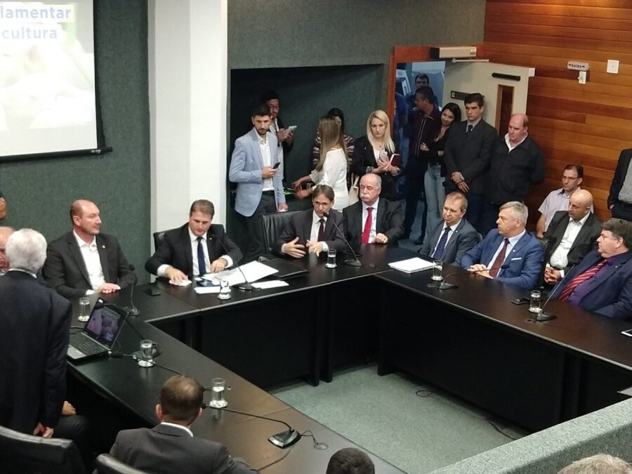 Reunião da Frente Parlamentar da Suinocultura