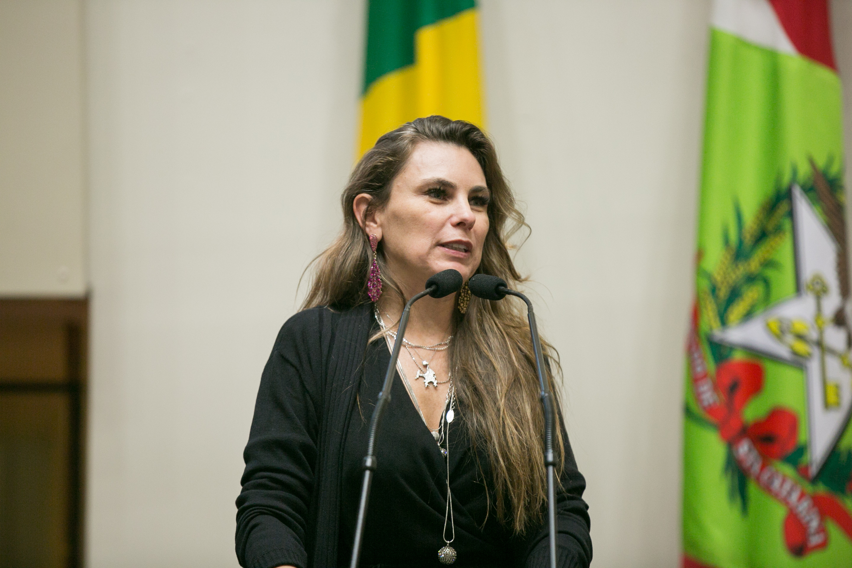 Deputada Paulinha (PDT)
