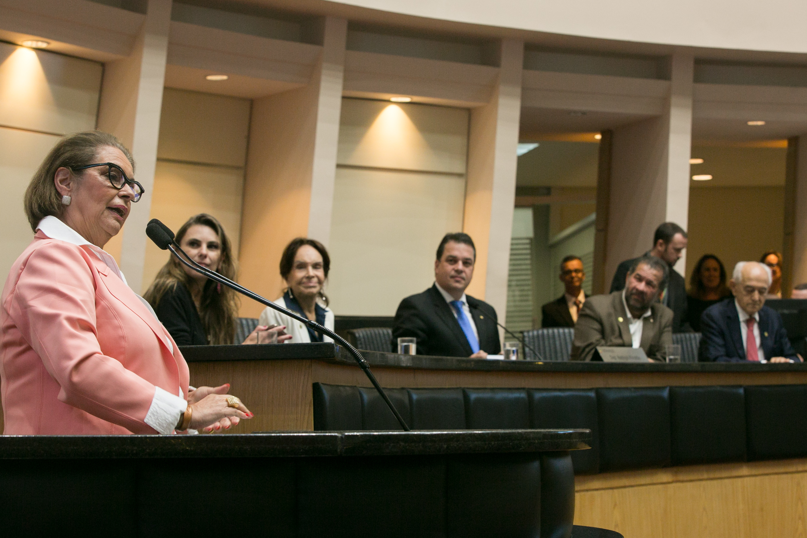 Deputada Ada De Luca (MDB)