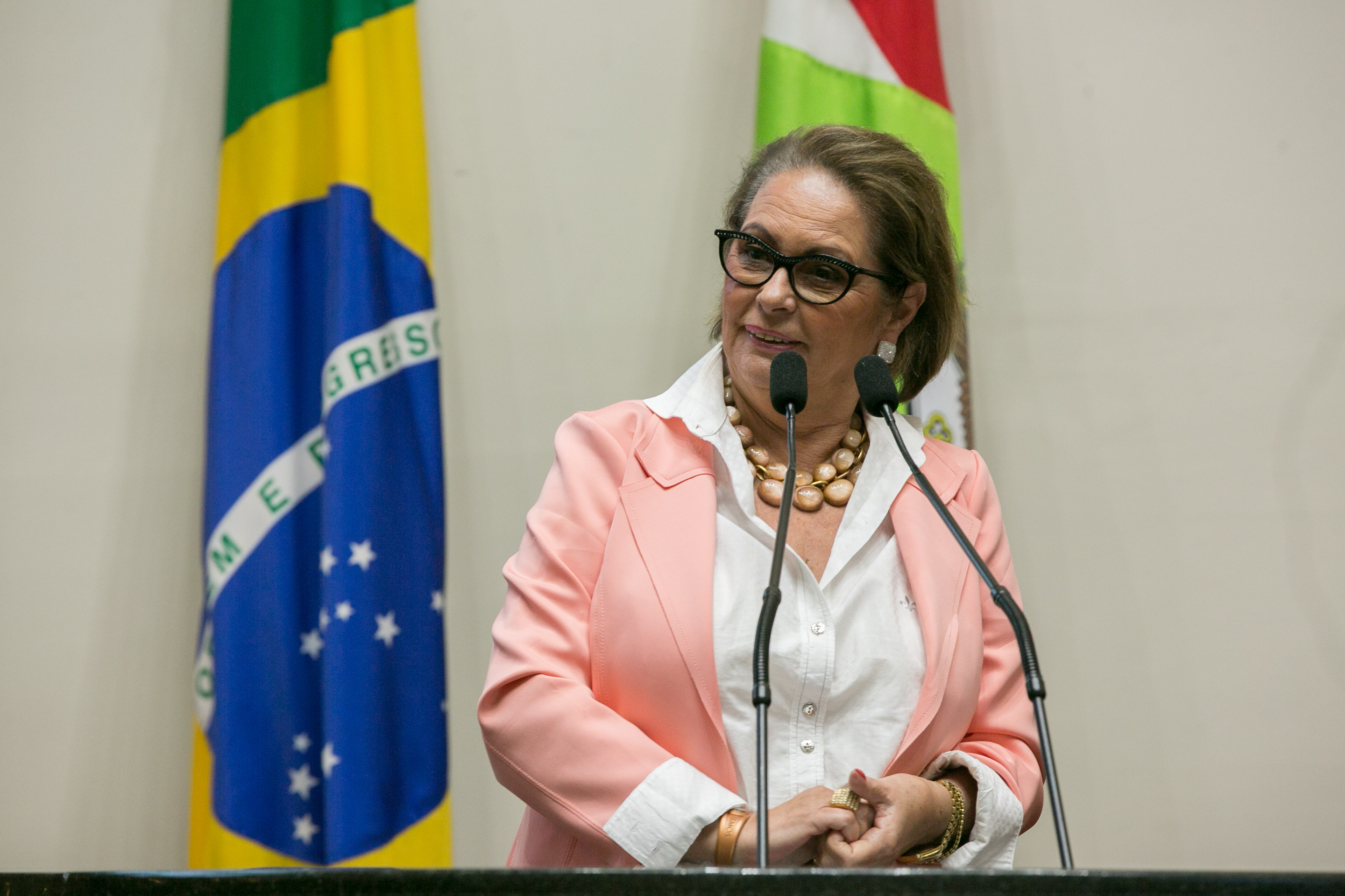 Deputada Ada De Luca (MDB)