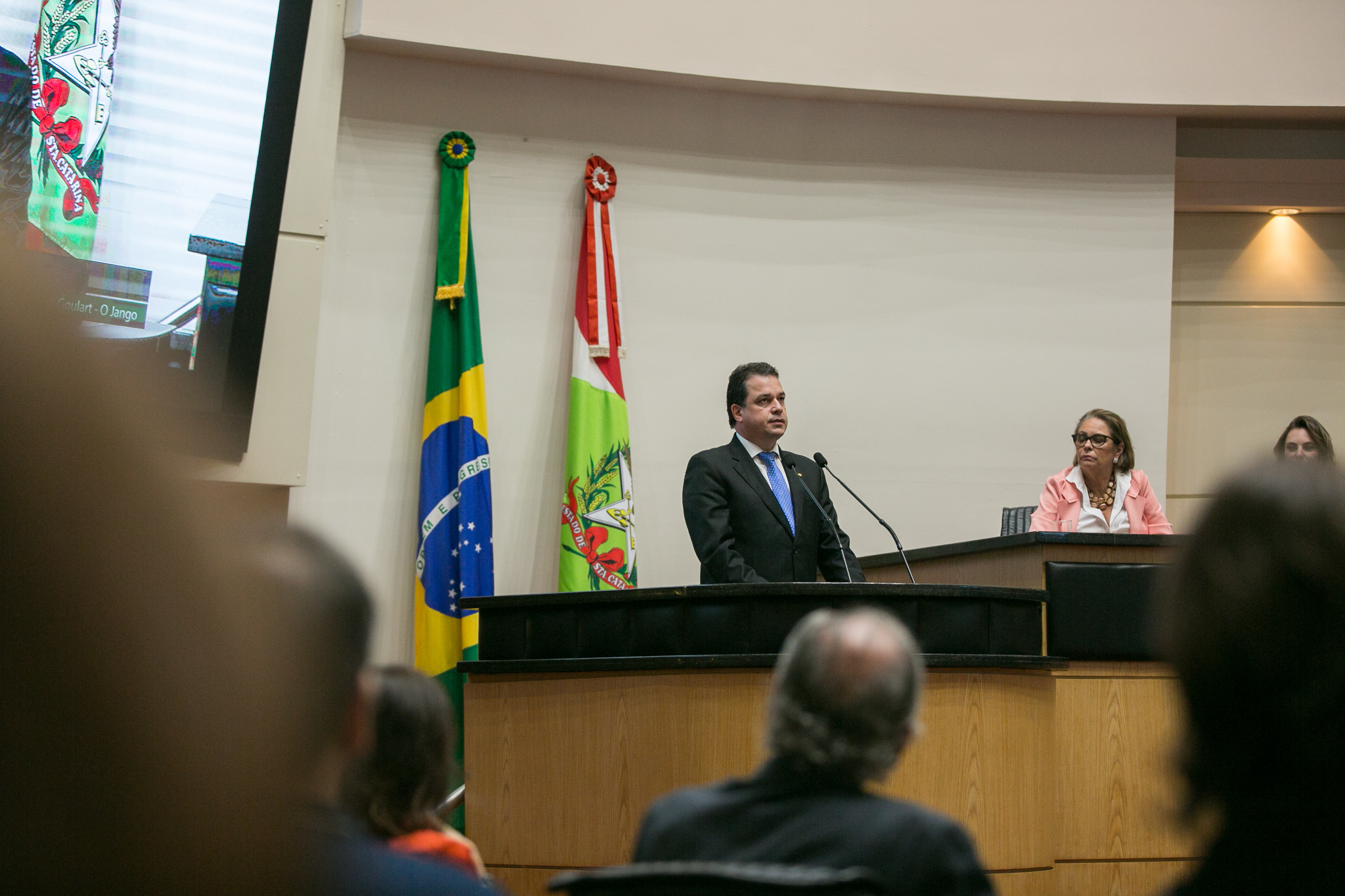 Deputado Rodrigo Minotto (PDT)