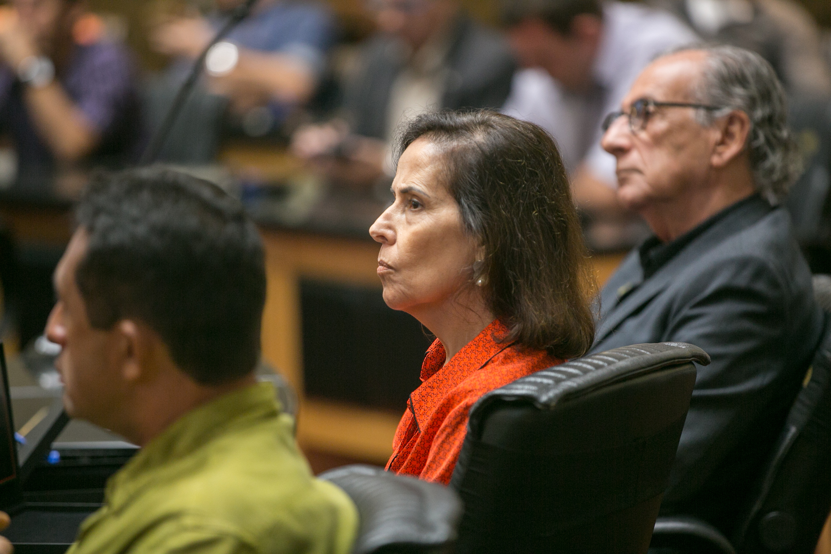 Filha de João Goulart, Denize Goulart