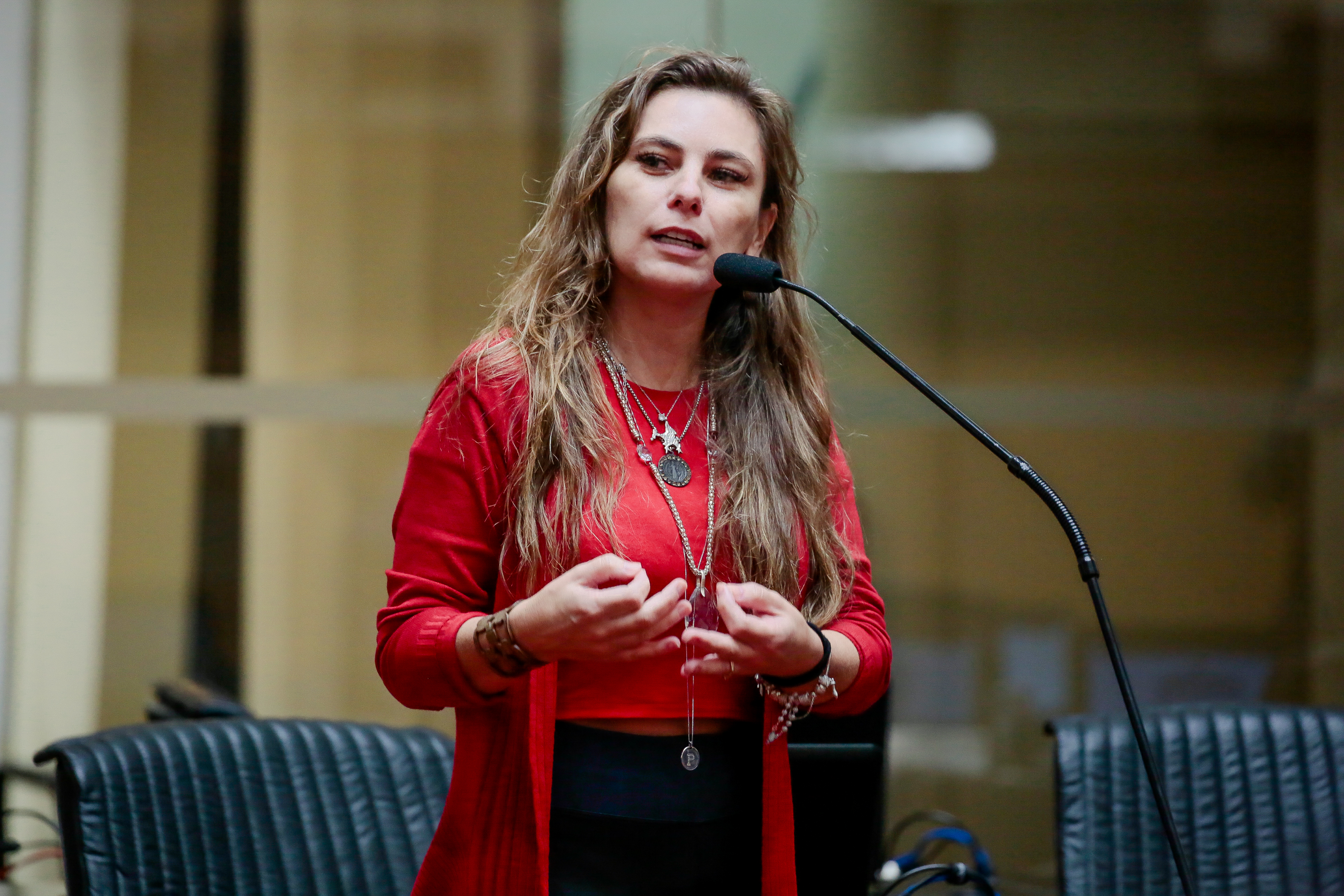 Deputada Paulinha (PDT)