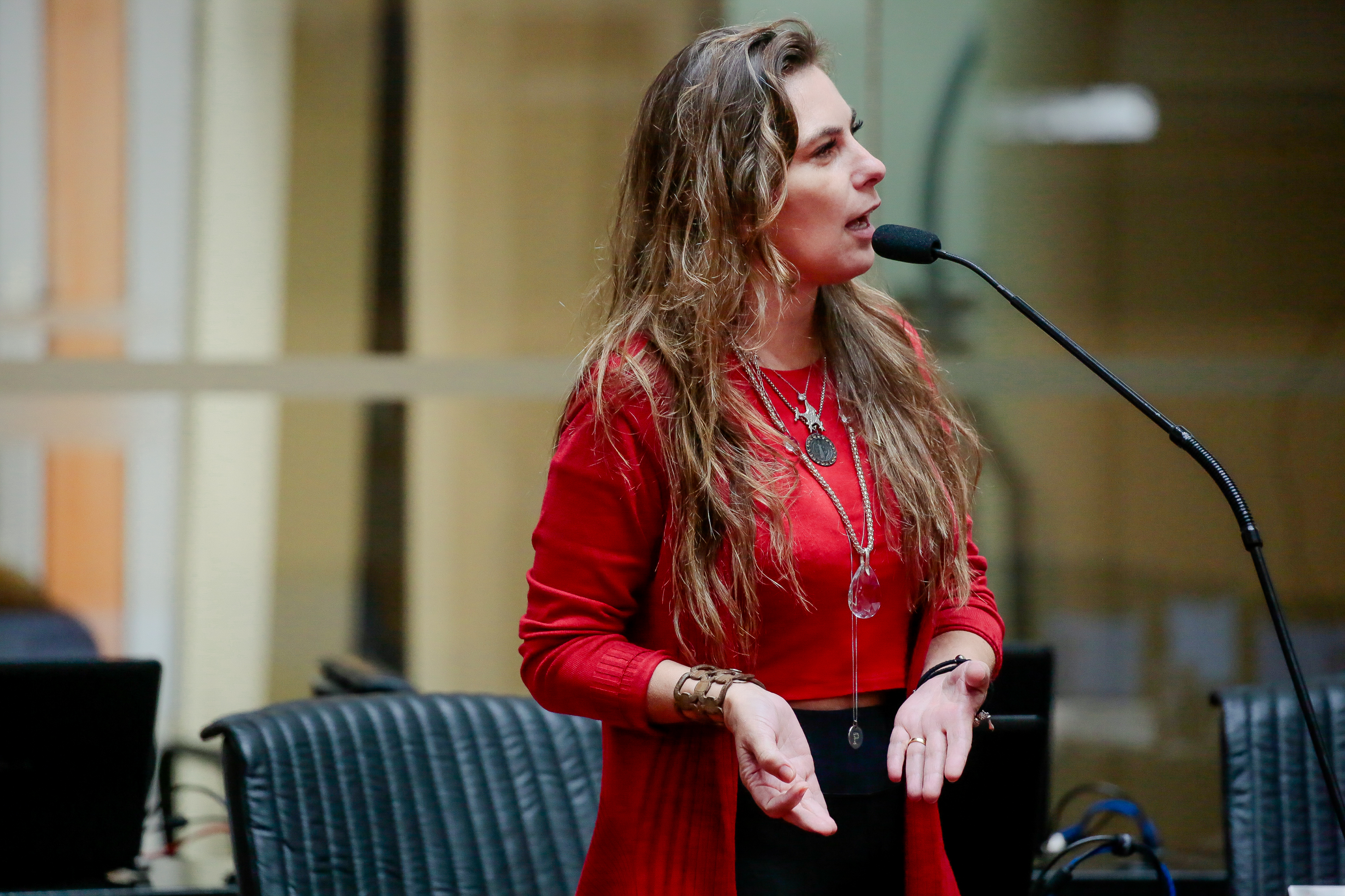 Deputada Paulinha (PDT)