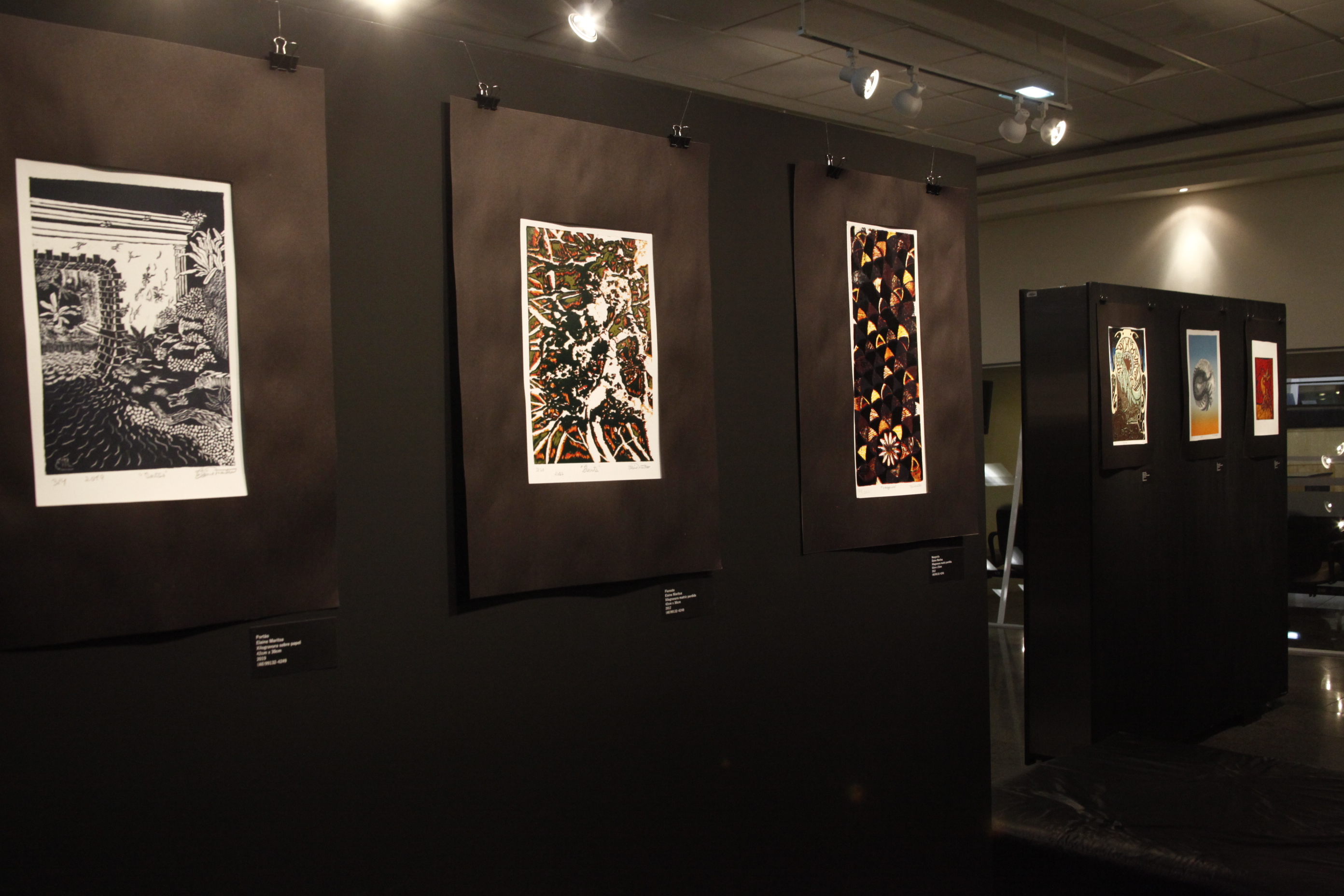 Exposição Naturânima