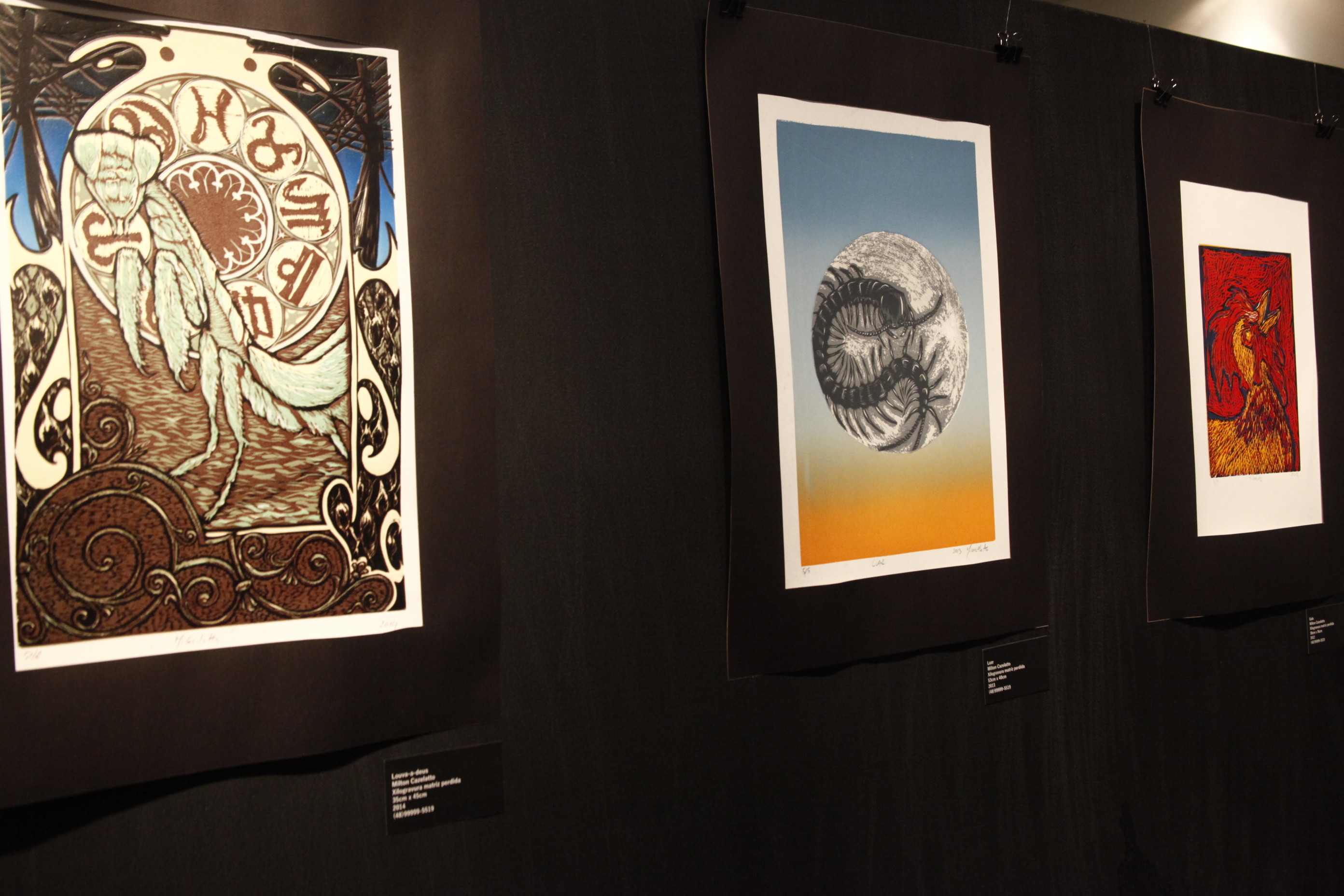 Exposição Naturânima