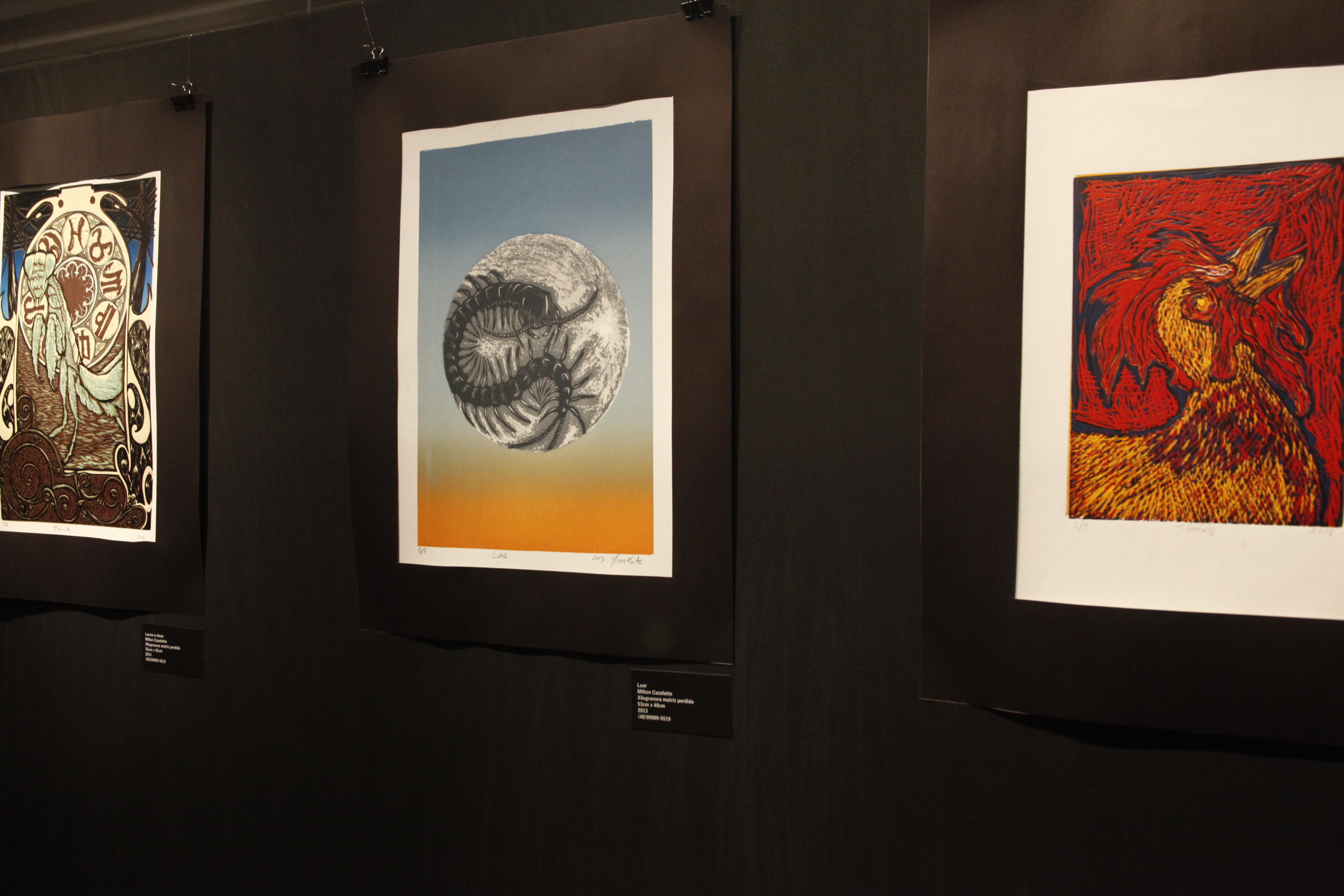 Exposição Naturânima