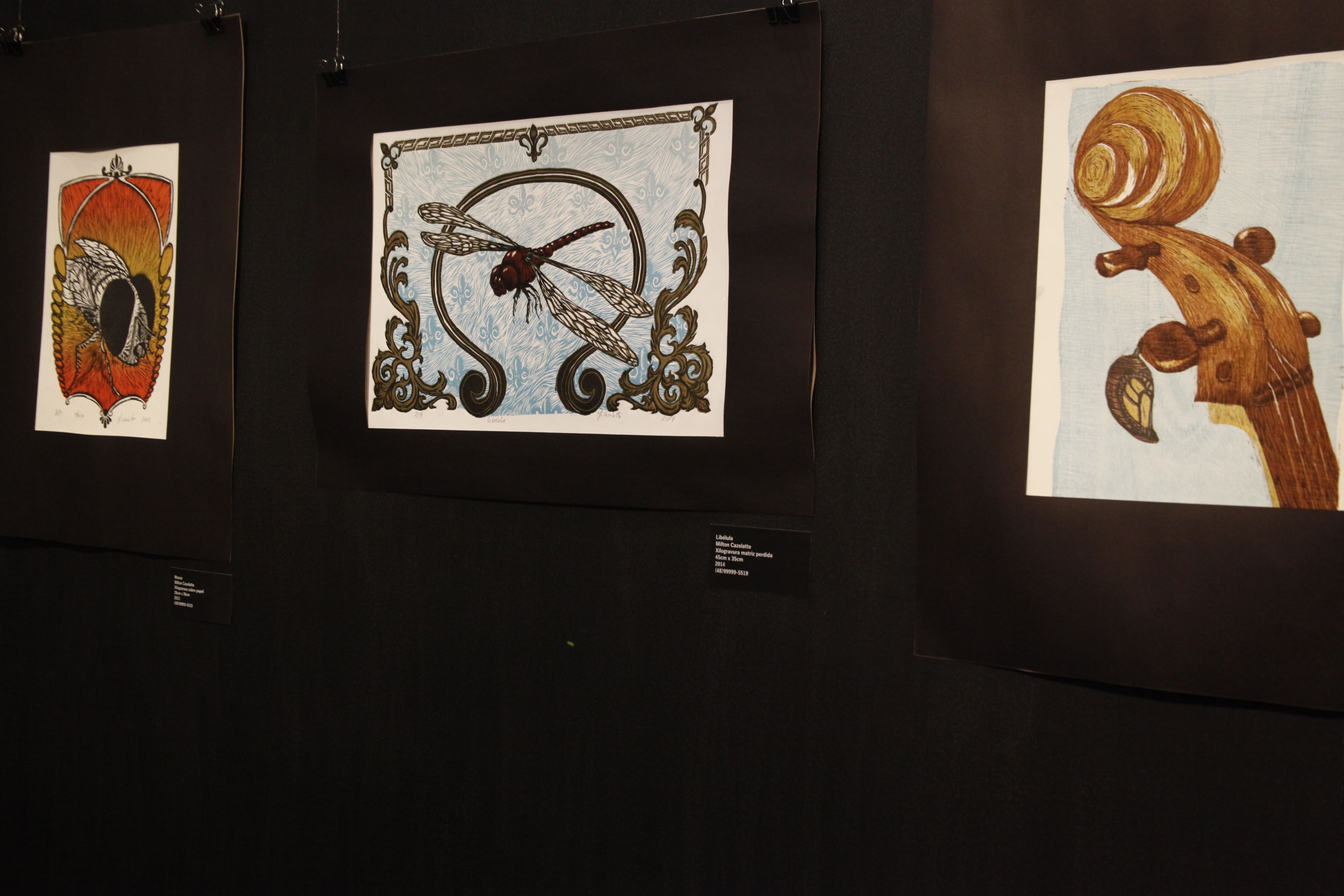 Exposição Naturânima