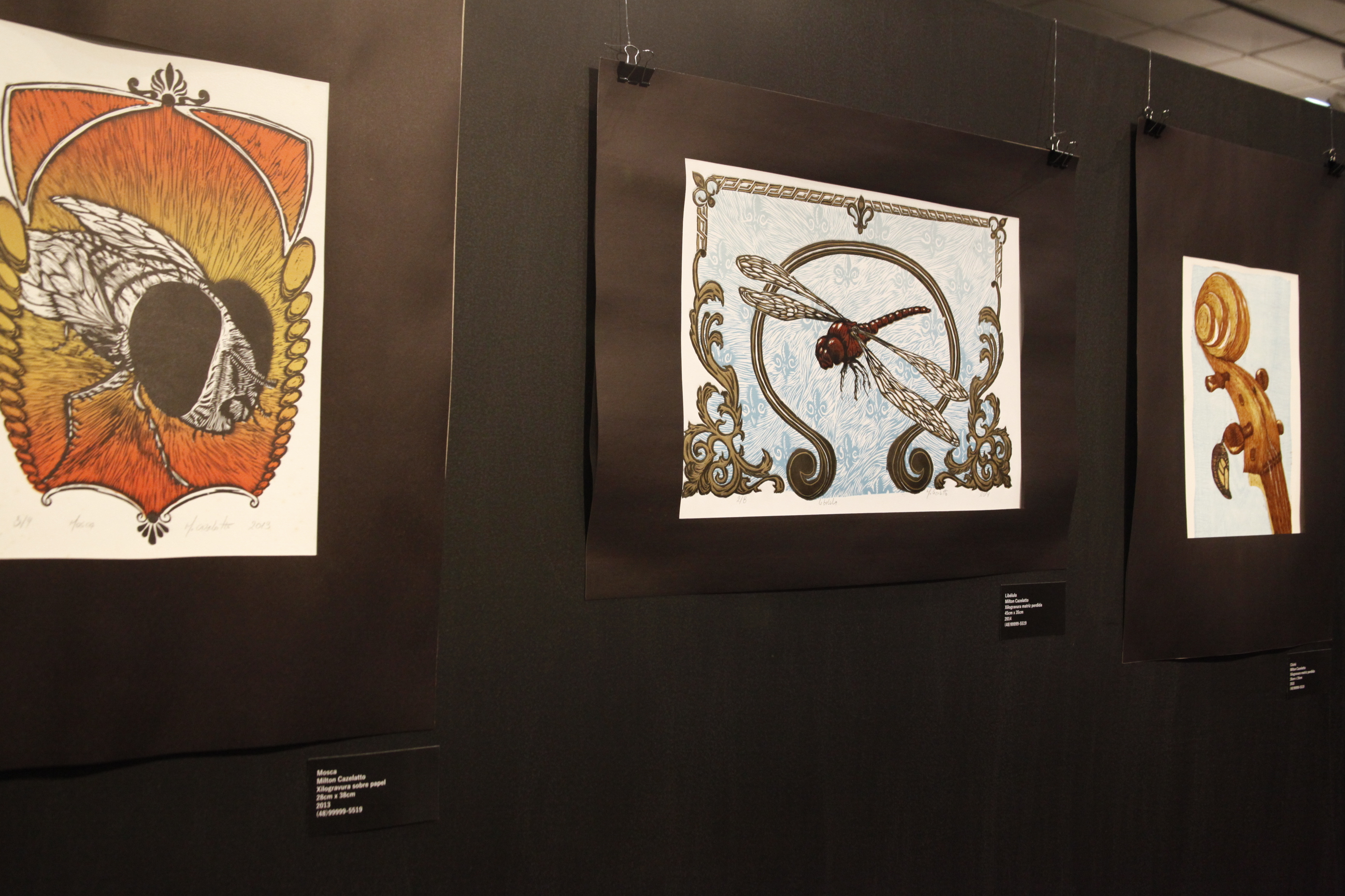 Exposição Naturânima
