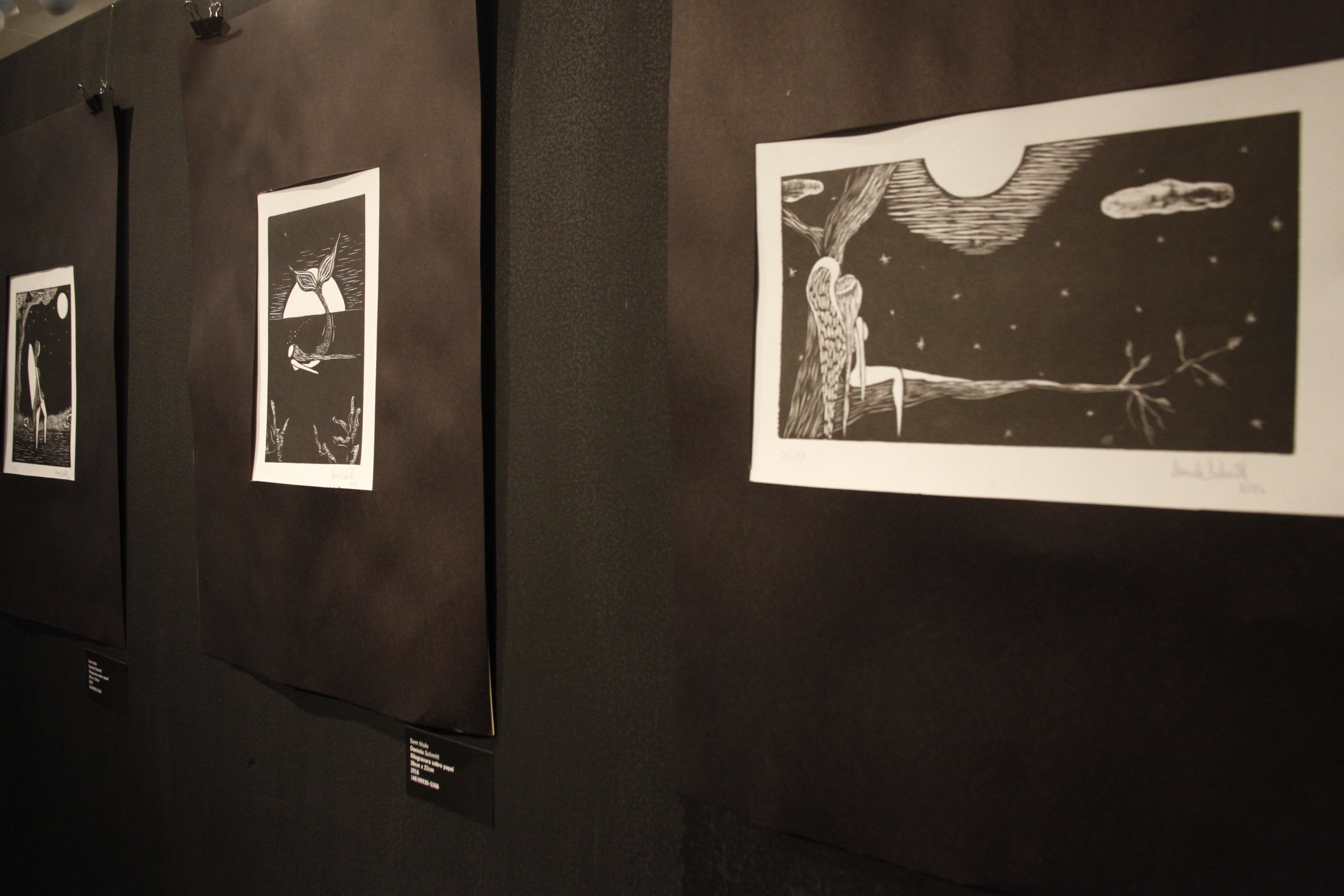 Exposição Naturânima