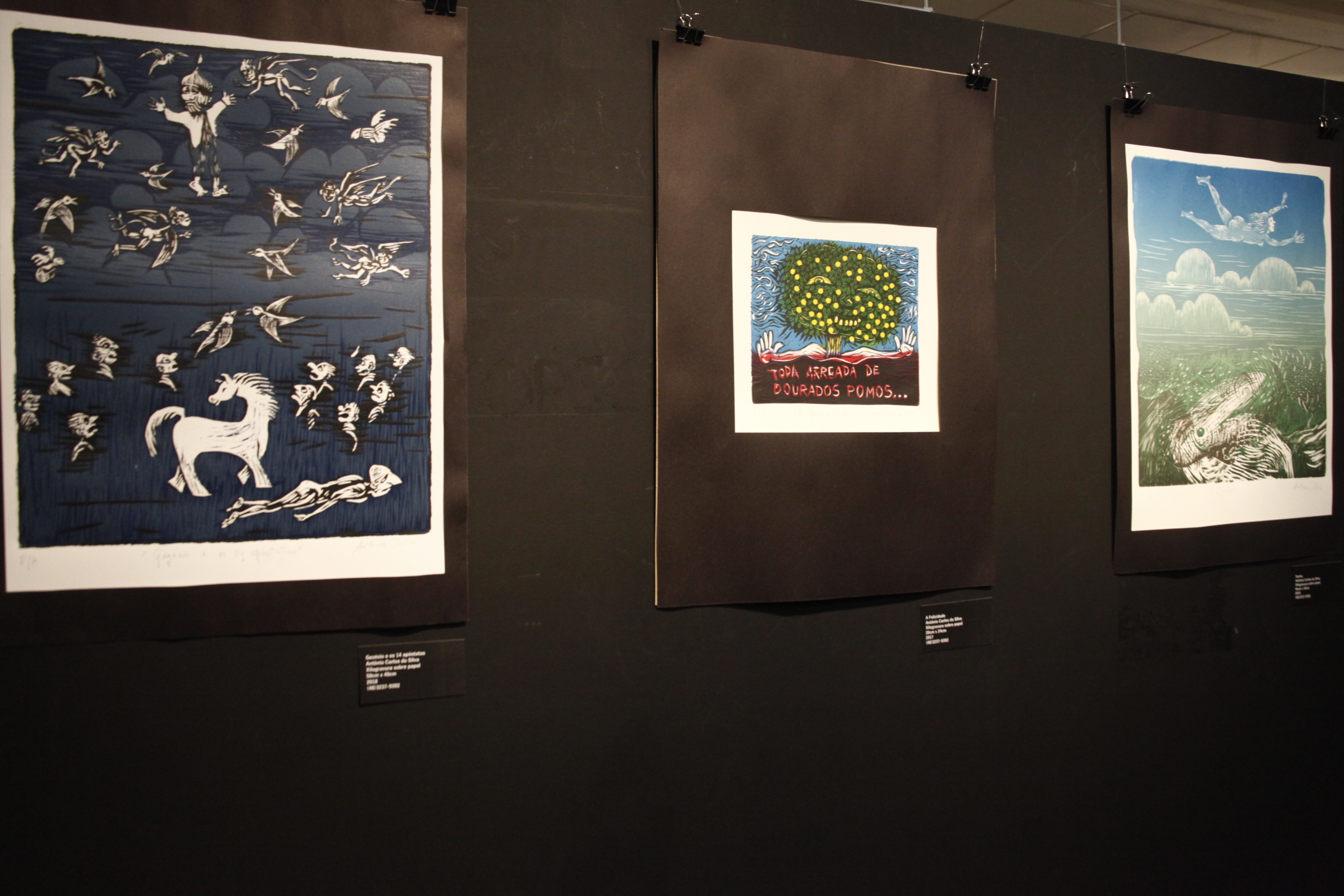 Exposição Naturânima