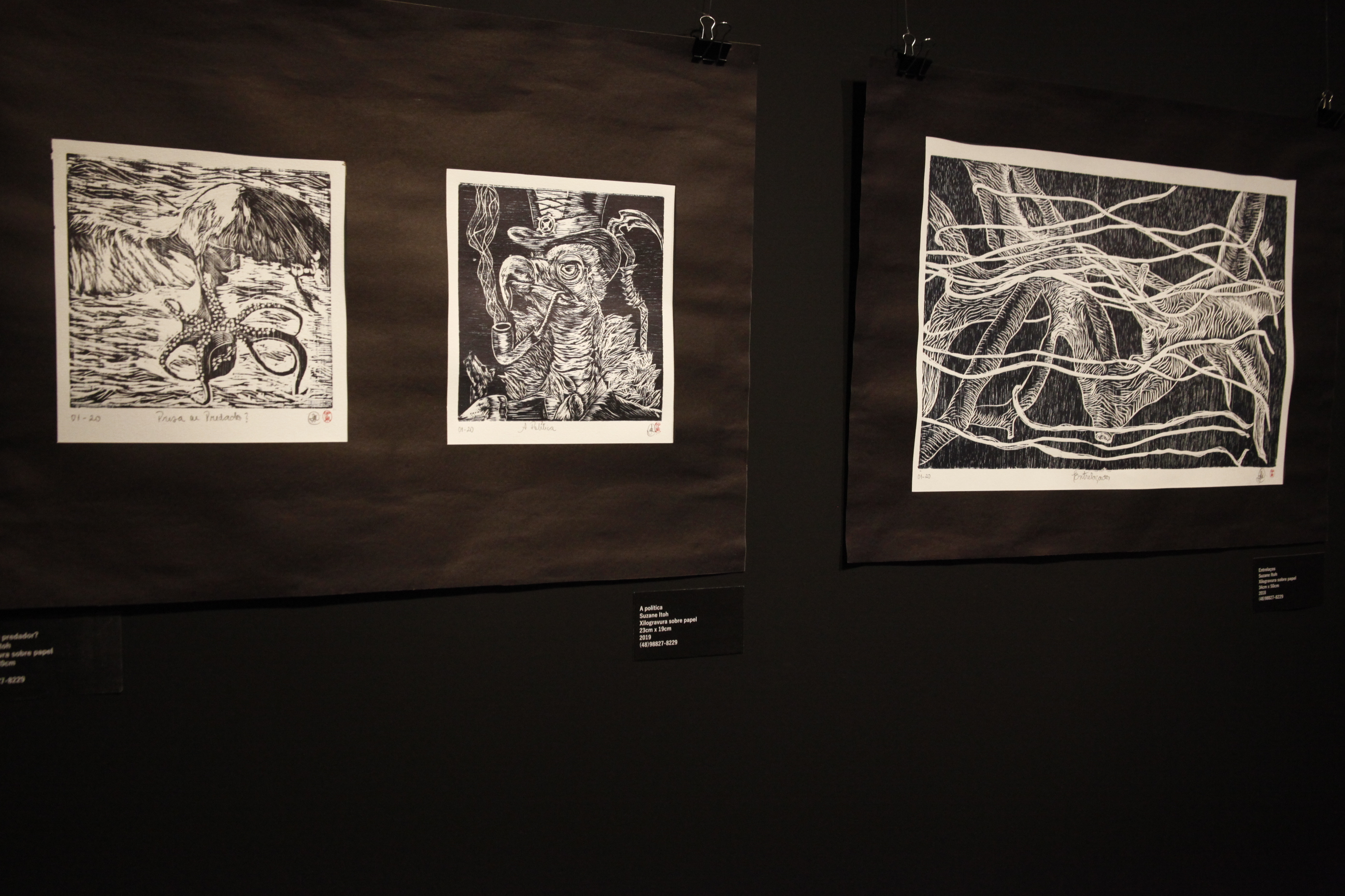 Exposição Naturânima