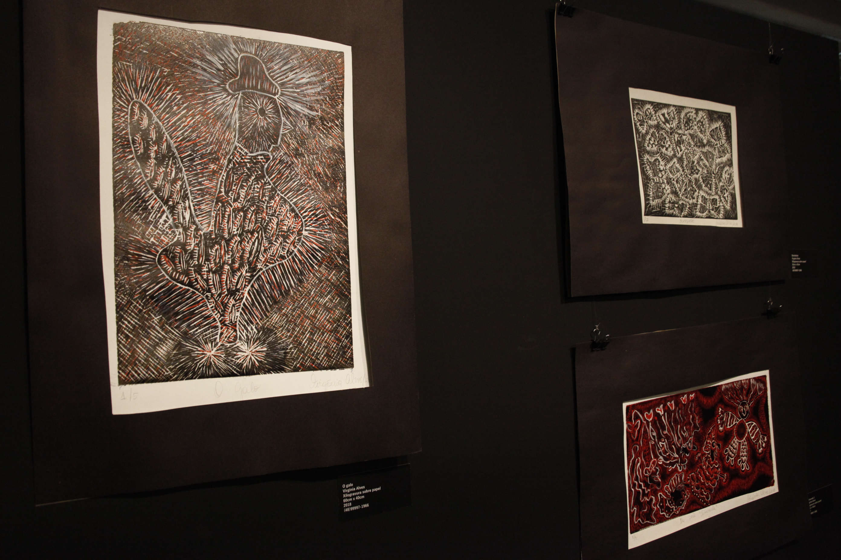 Exposição Naturânima