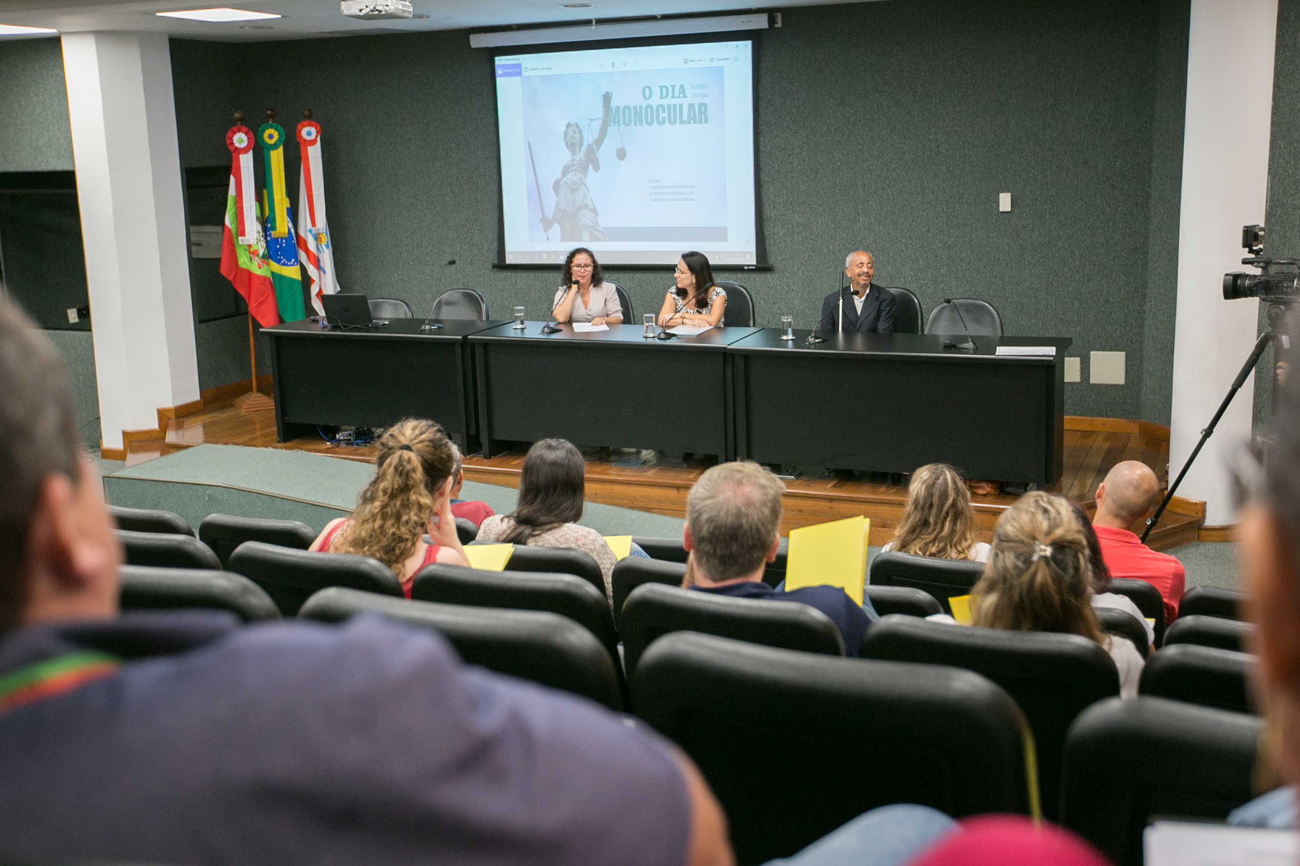Seminário dia da pessoa com visão Monocular