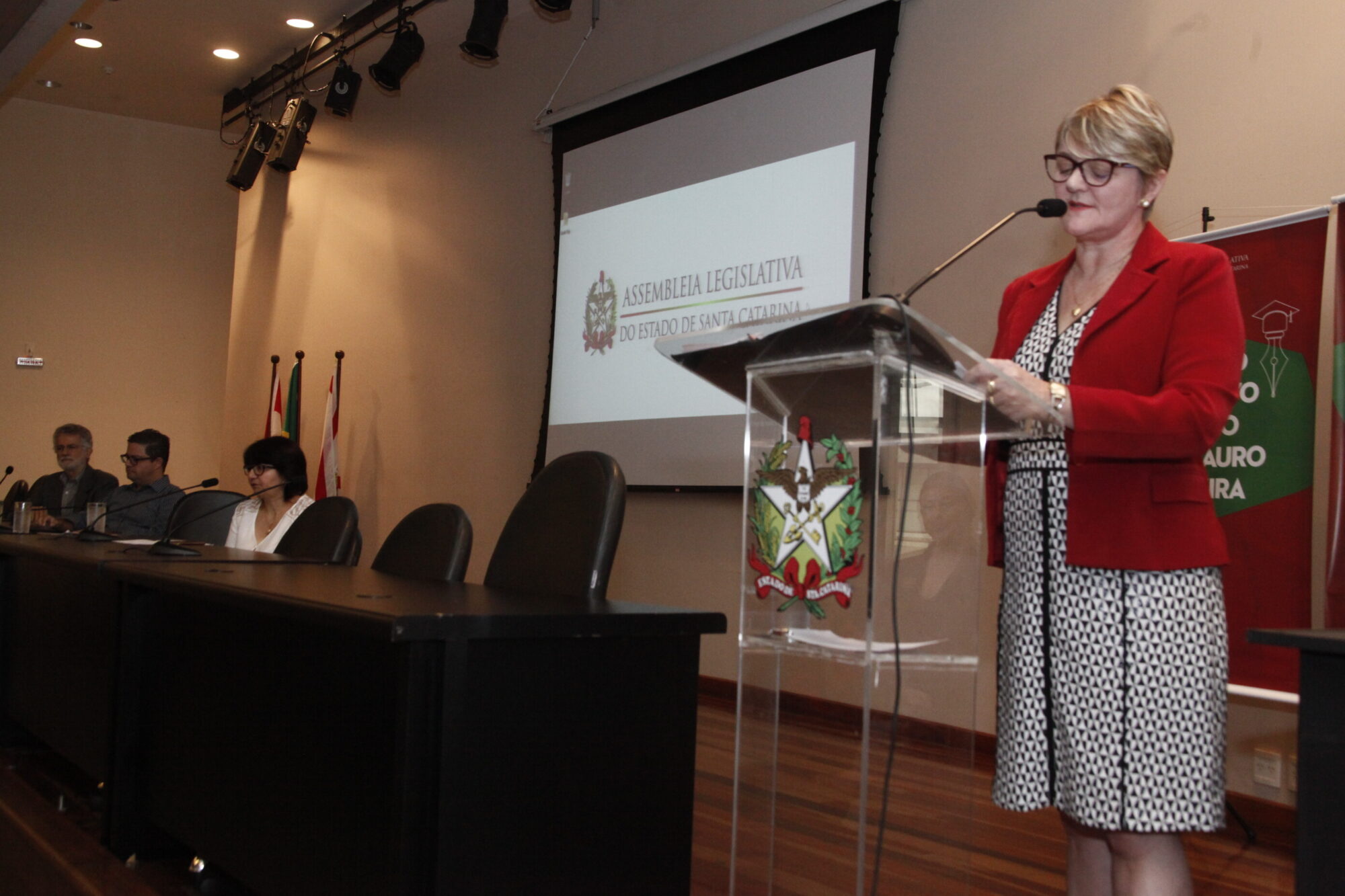 Deputada Luciane Carminatti, que preside a Comissão de Educação, Cultura e Desporto da Assembleia.
