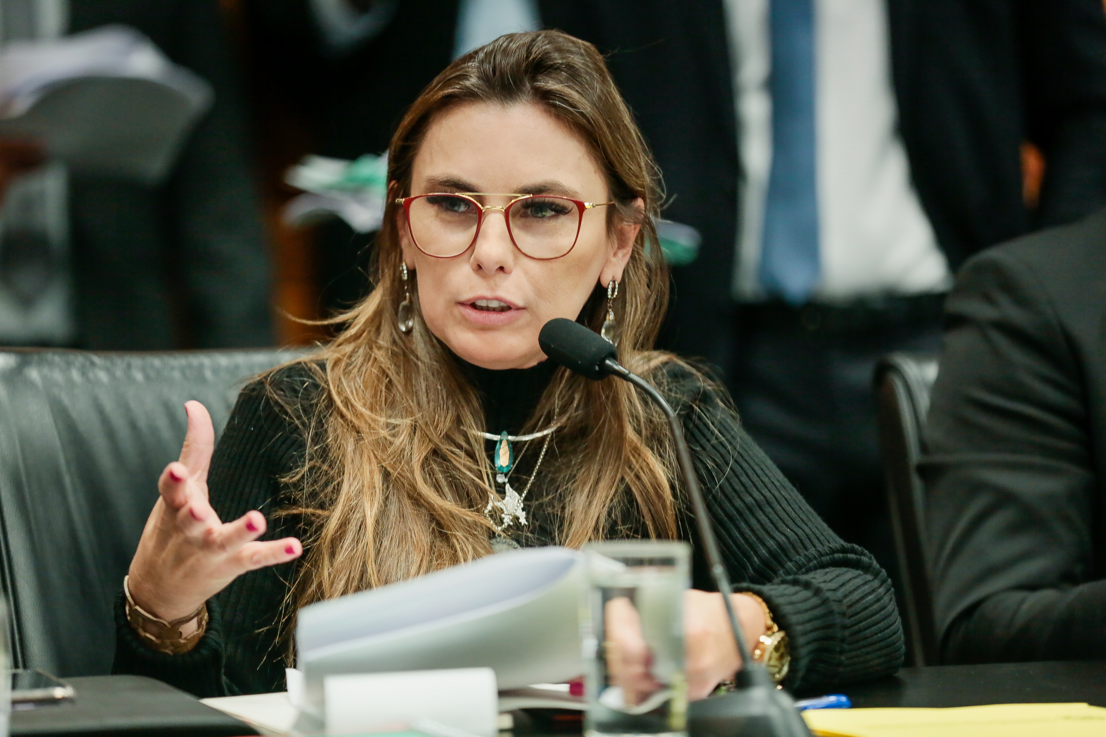 Deputada Paulinha (PDT)