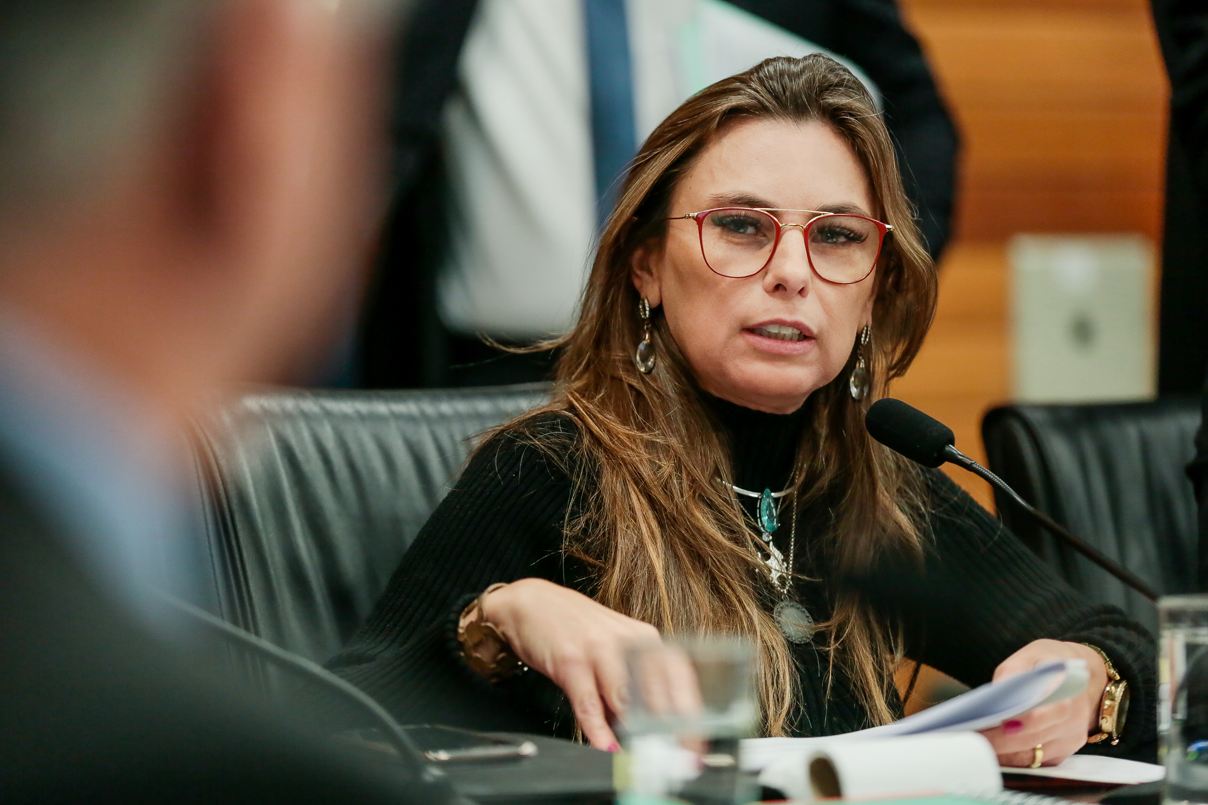 Deputada Paulinha (PDT)
