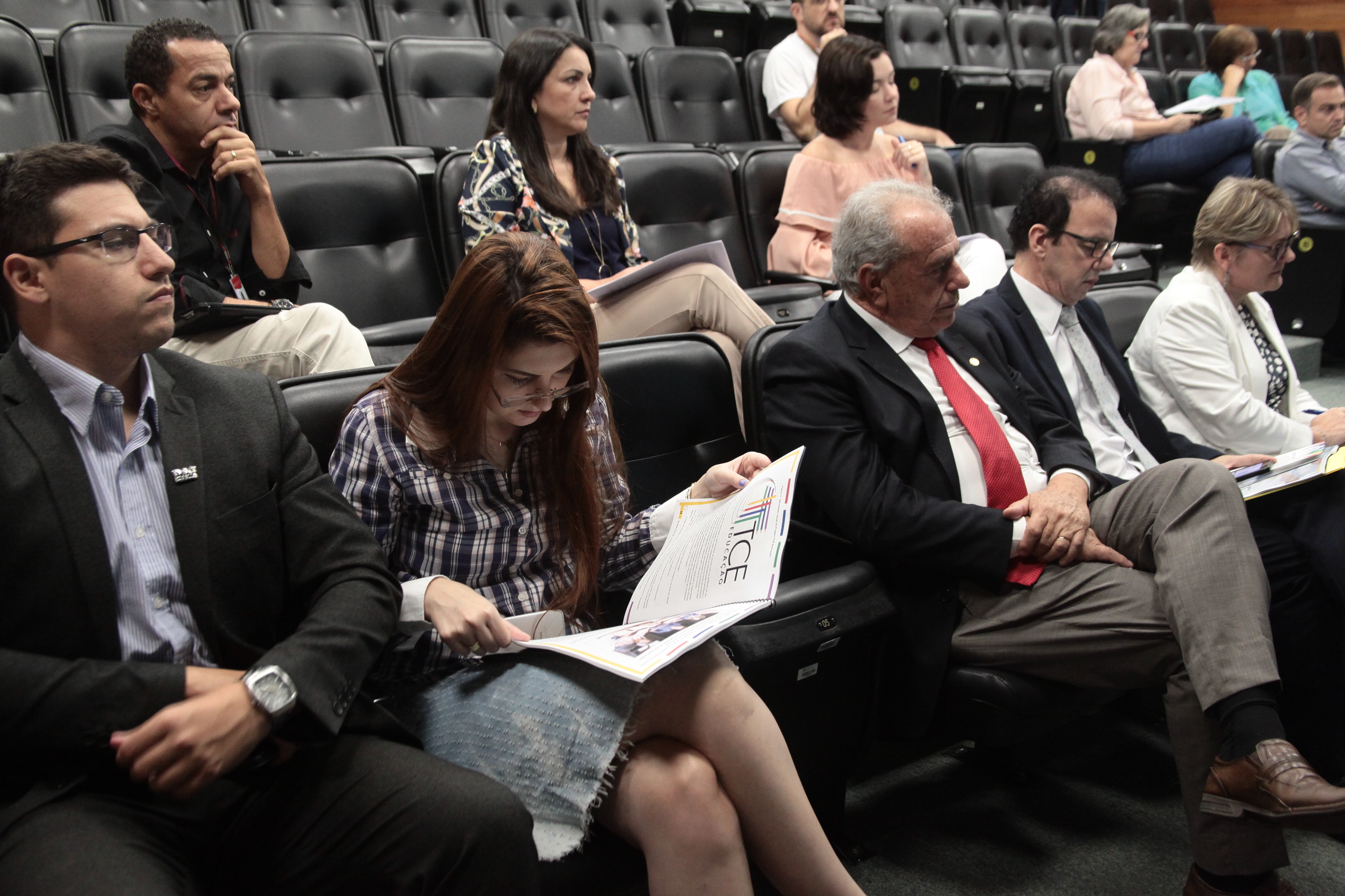 Comissão de Educação Cultura e Desporto