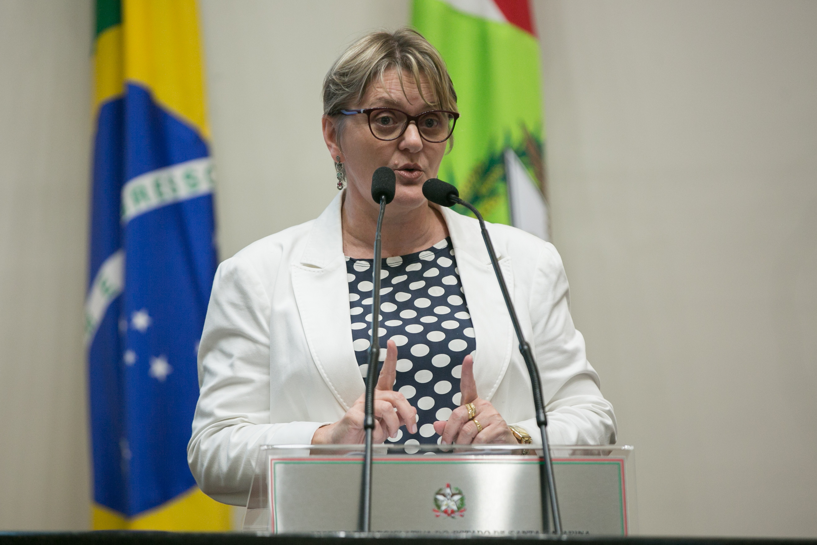 Deputada Luciane Carminatti (PT)