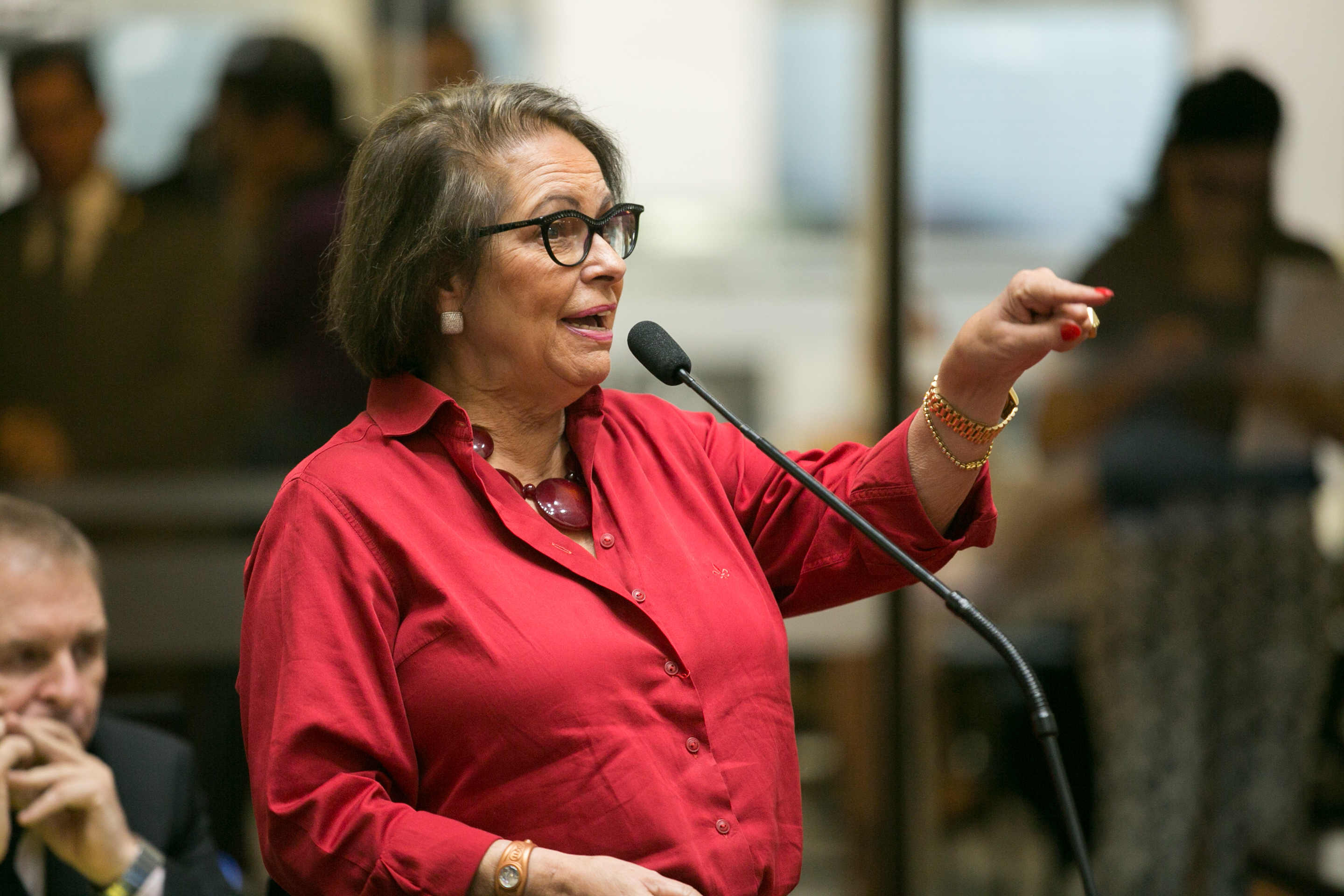 Deputada Ada De Luca (MDB)