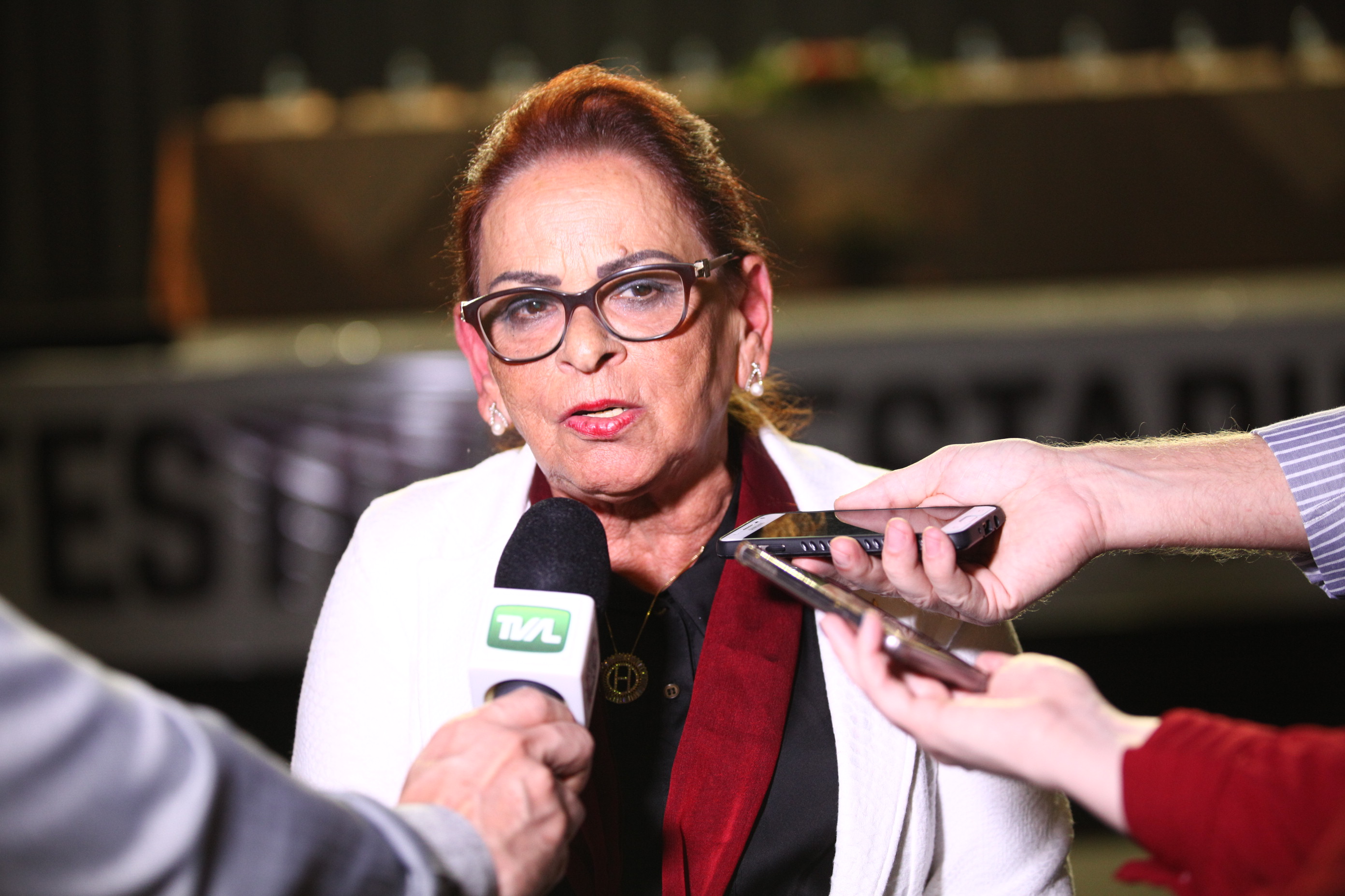 XI Festival Estadual Nossa Arte em Joinville - Heloisa Walter de Oliveira, presidente da Apae de Joinville.