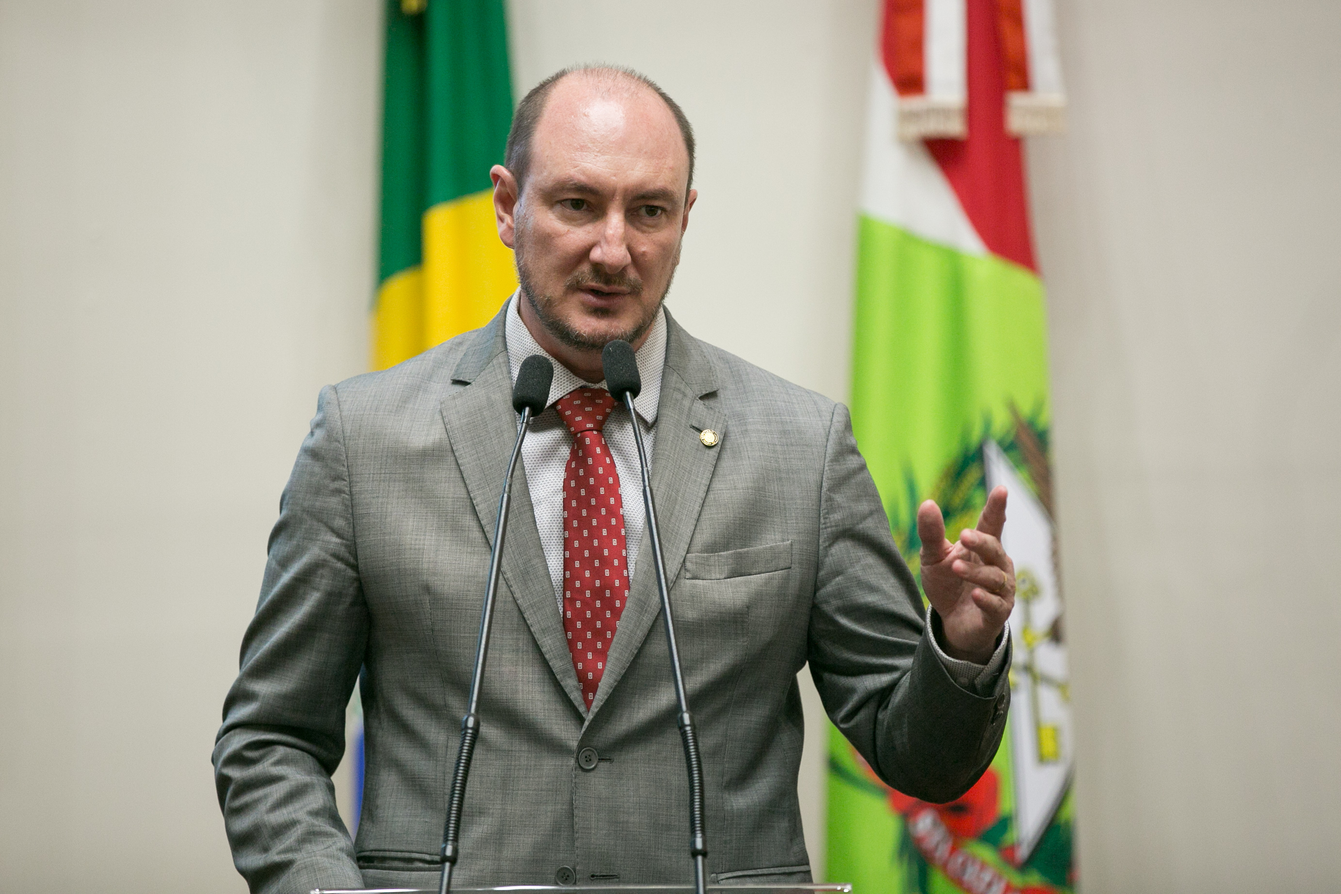 Deputado Mauro de Nadal (MDB)