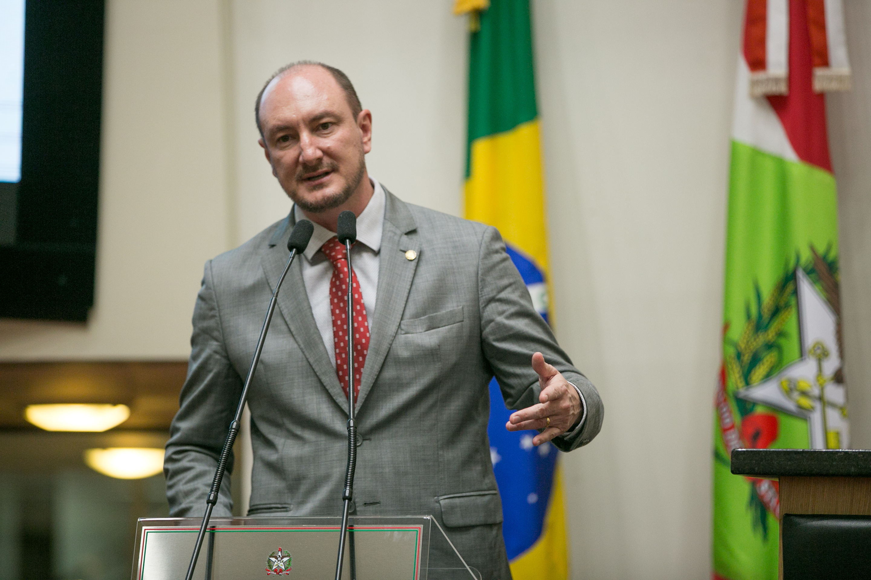 Deputado Mauro de Nadal (MDB)